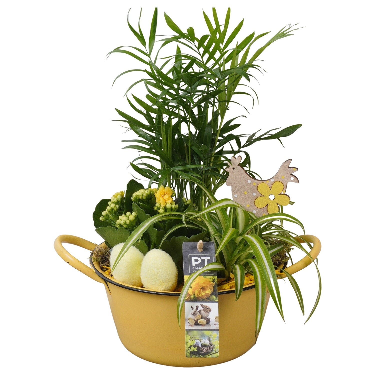 PTPB6418 Arrangement Easter in zink schaal, D 19