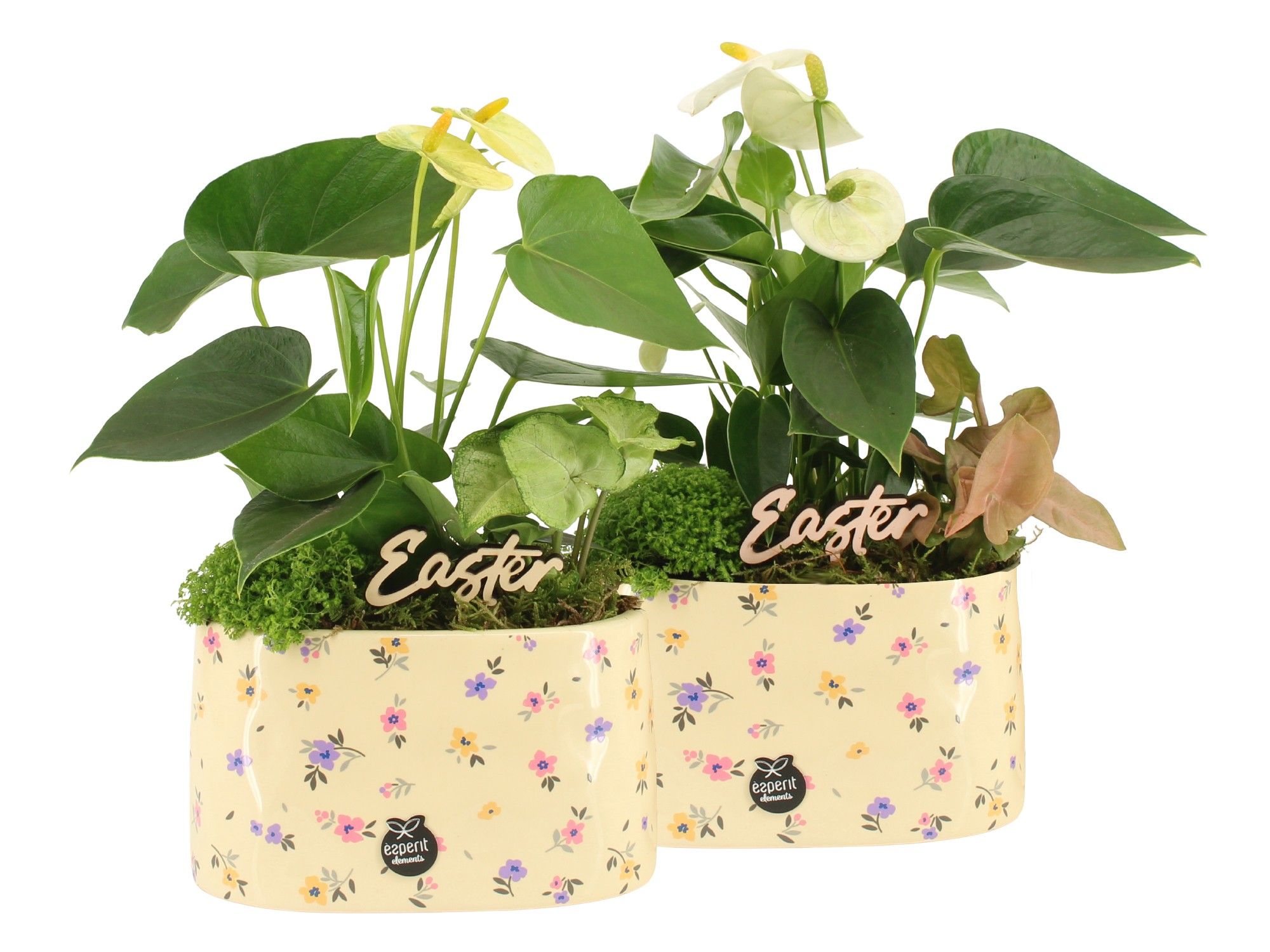 70884: Easter arrangement, D 17