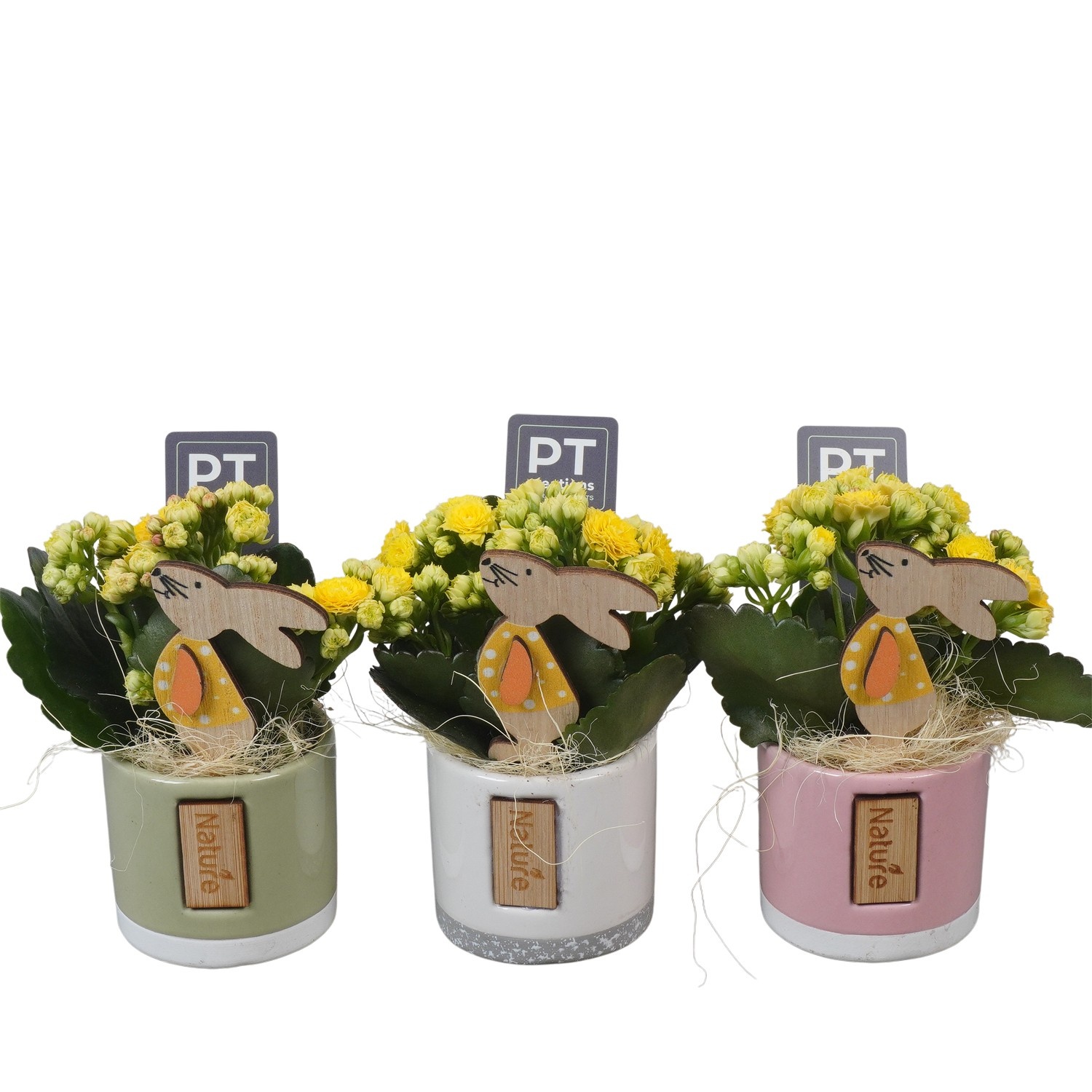 PTPB6472 Arrangement Easter in keramiek pot, D 7