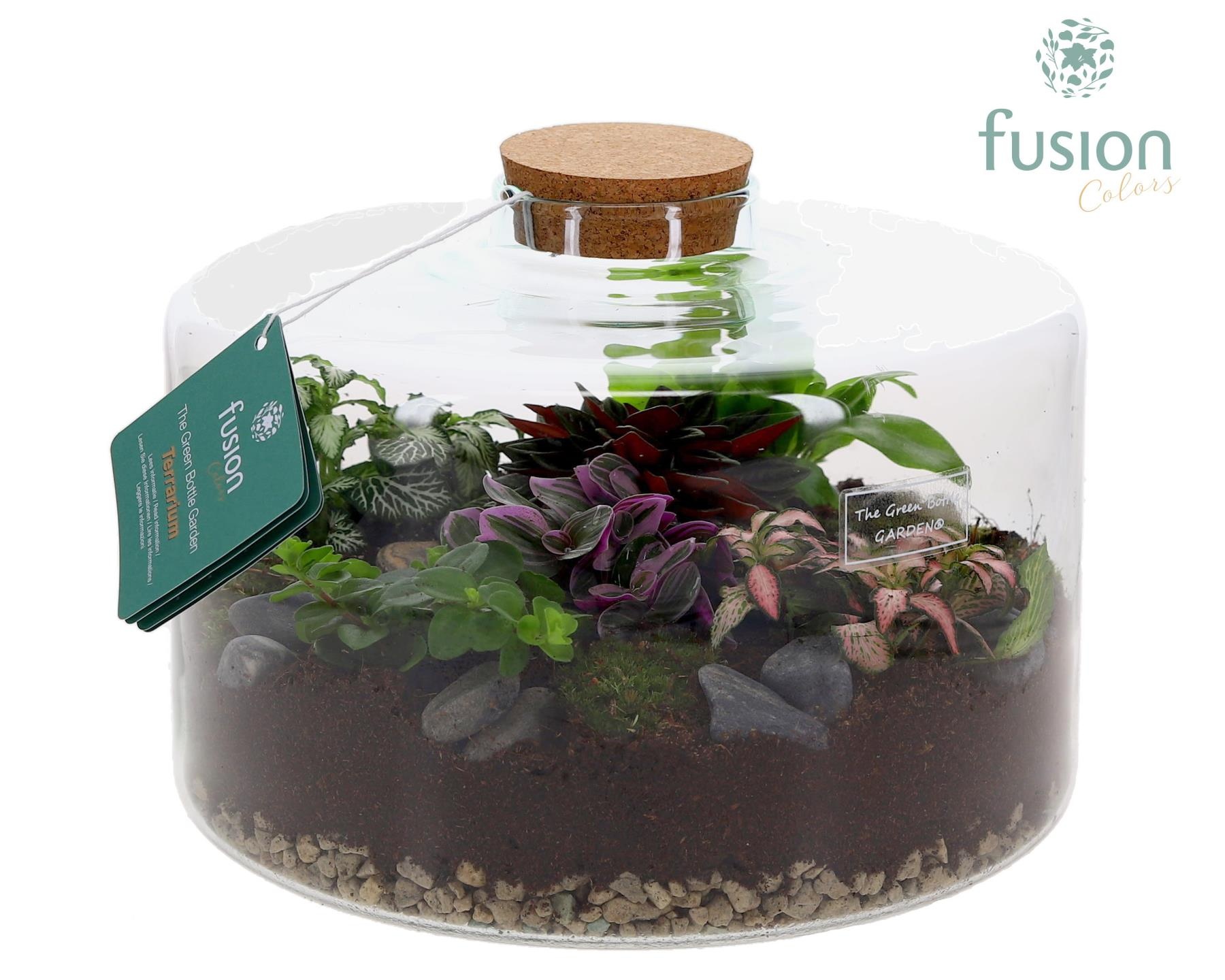 Green Bottle Kyra XLarge met Terrarium arrangement, D 27