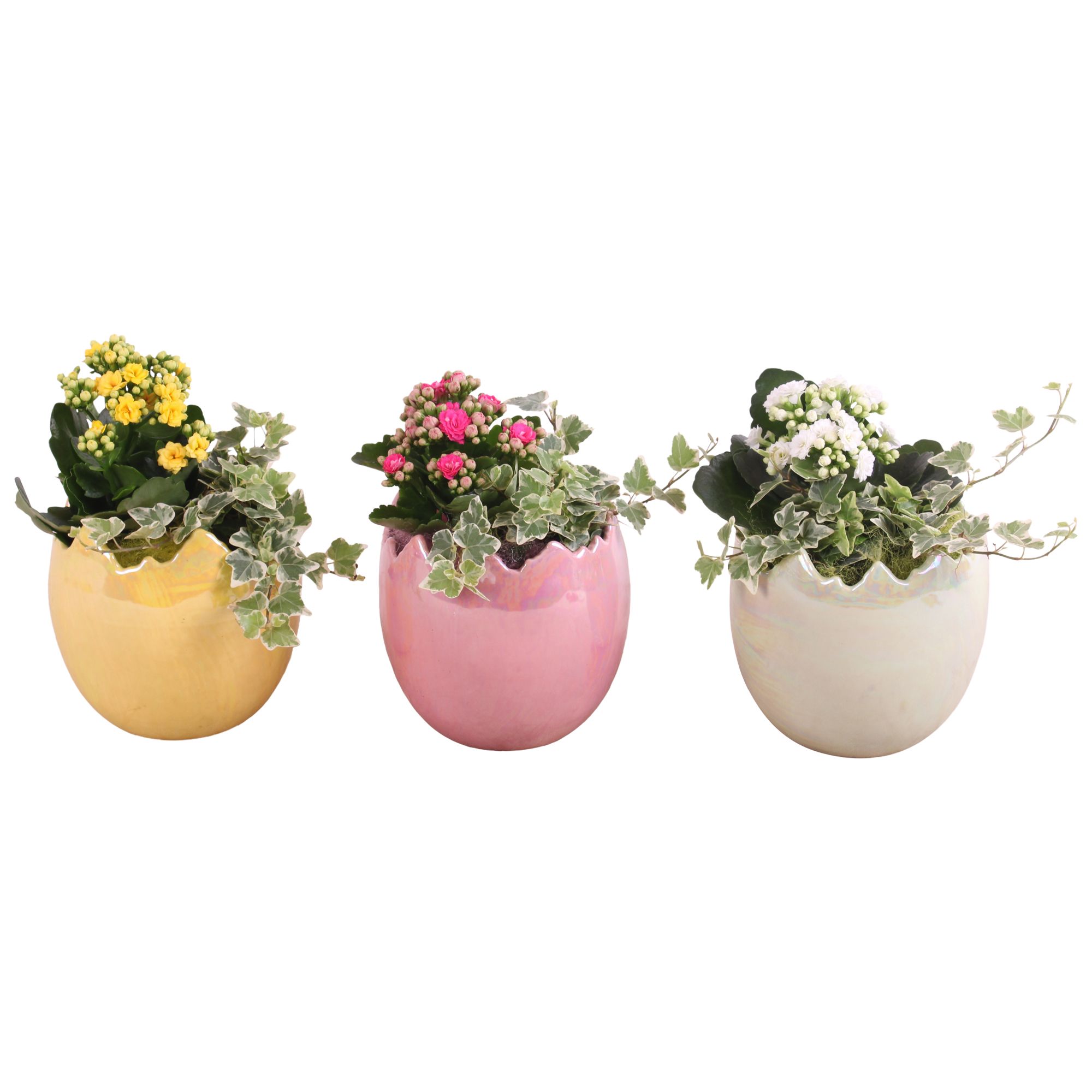 Easter Arr. Indoor Ceramic Egg Pearl Glazed Ø14cm 2PP, D 14