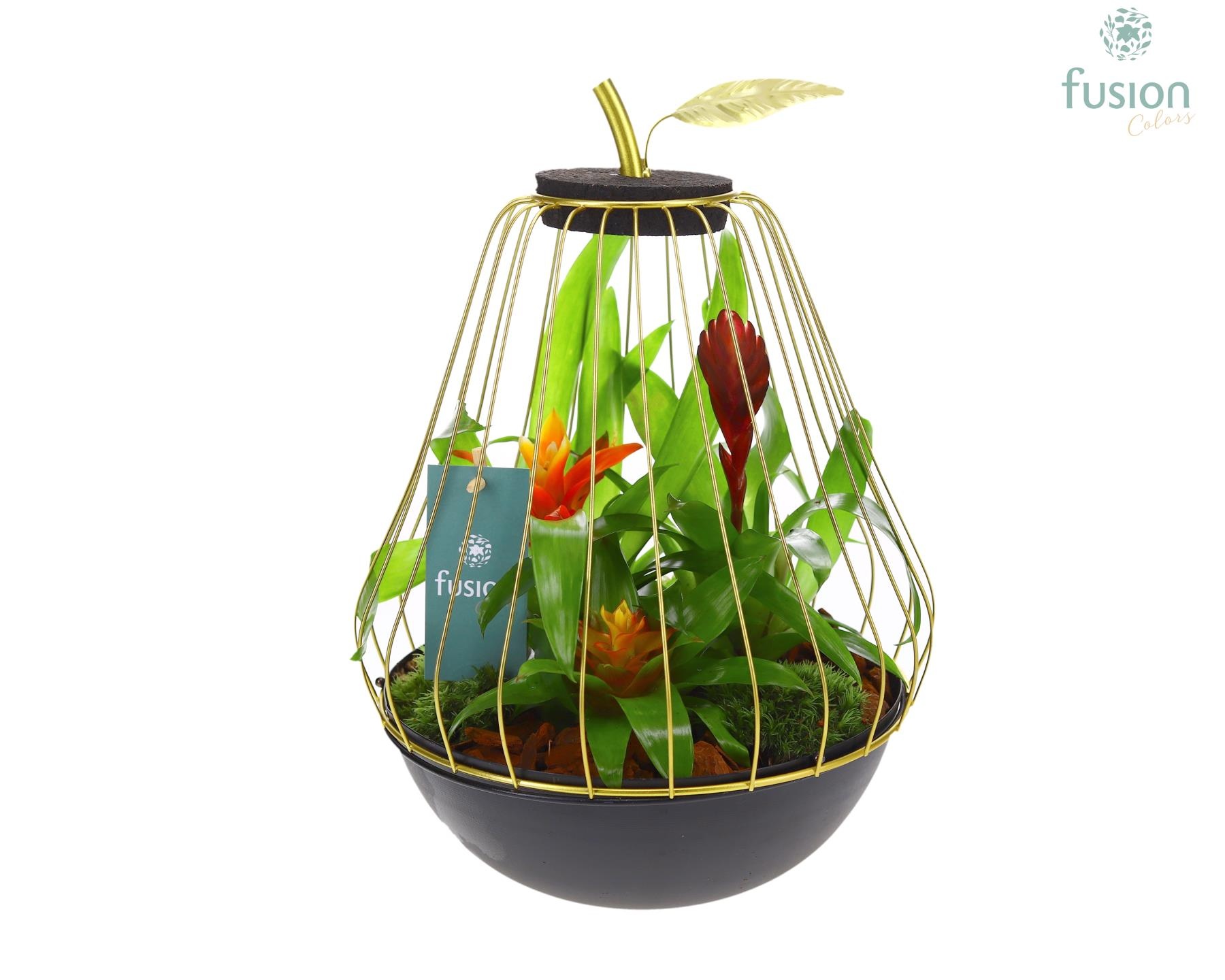 Peer metaal goudzwart Large met Bromelia, D 23