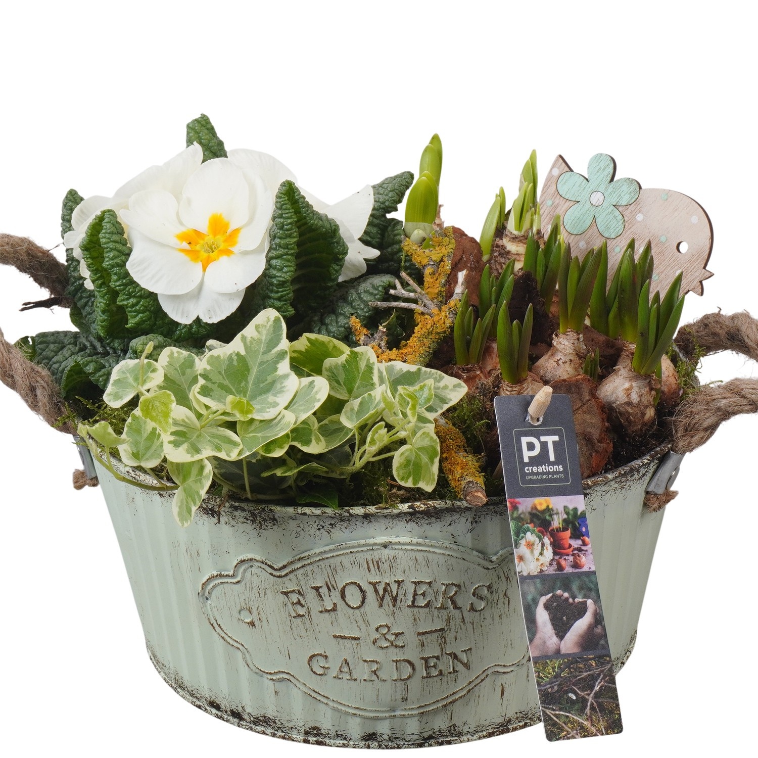 PTBM3773 Arrangement Flower Bulbs Mix in metalen pot, D 22