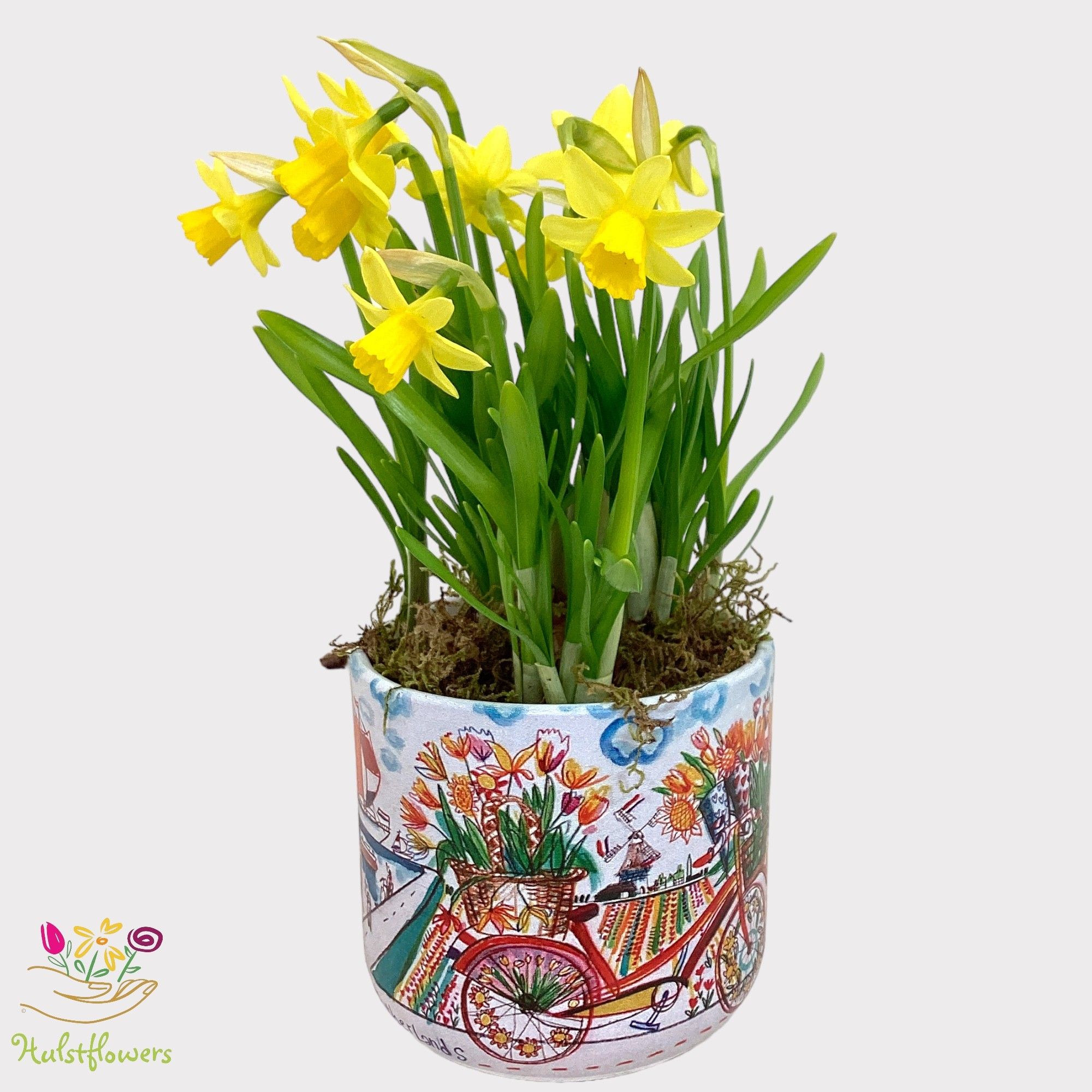 Arrangement - Springtime art - narcis tete a tete, D 10,5