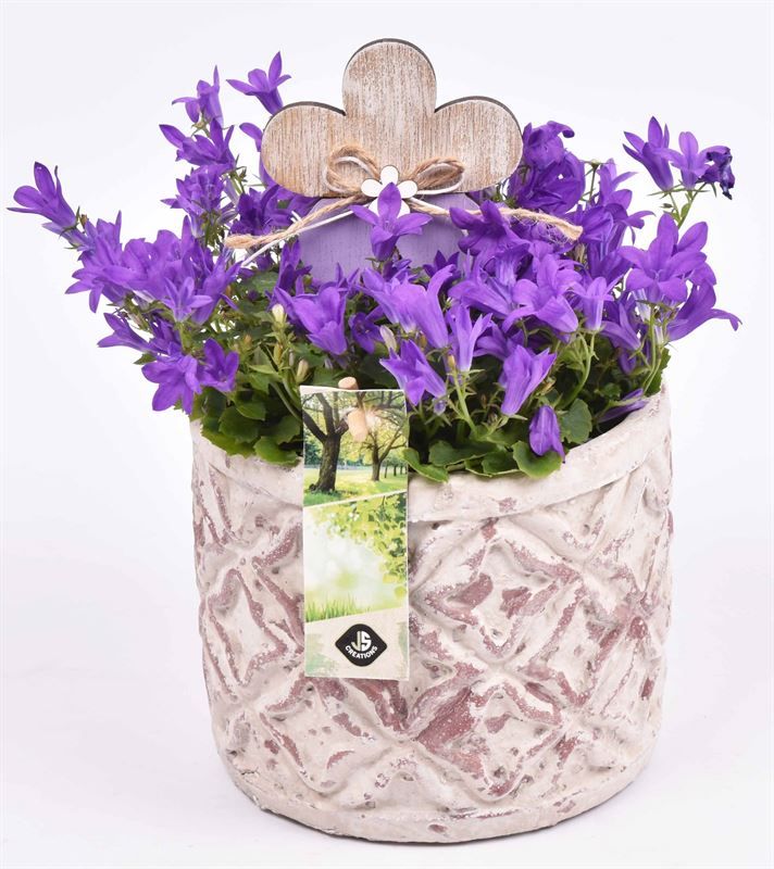 Cement pot barok motief 14cm, D 14