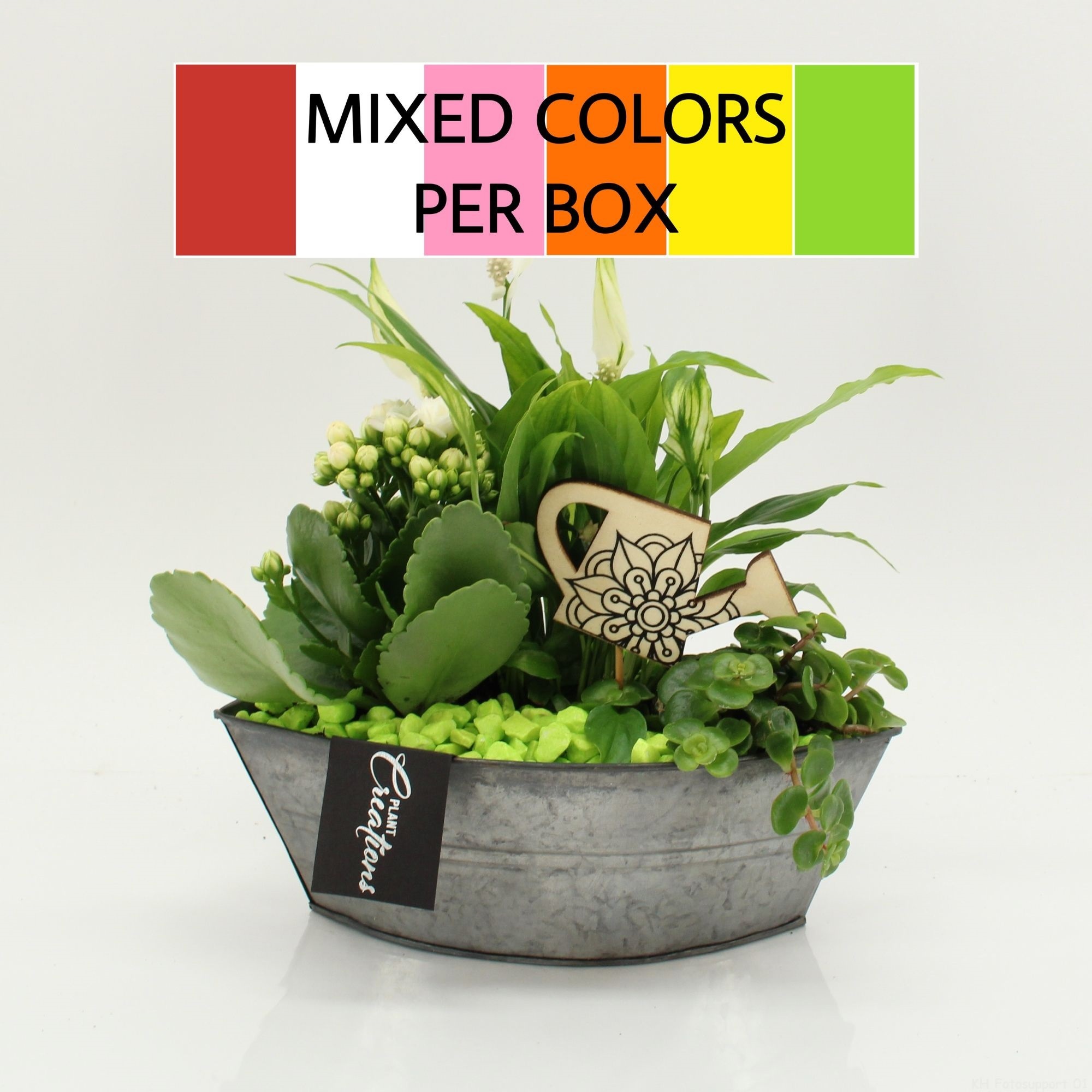 FDCR-2614M Basic Fundamentals, D 22