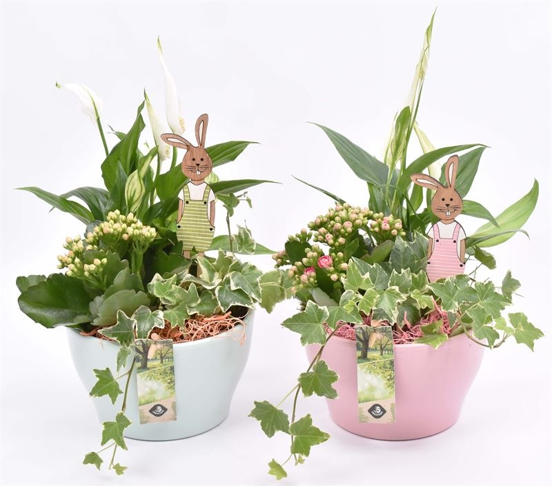 Keramiek schaal kl.mix 15cm, D 15