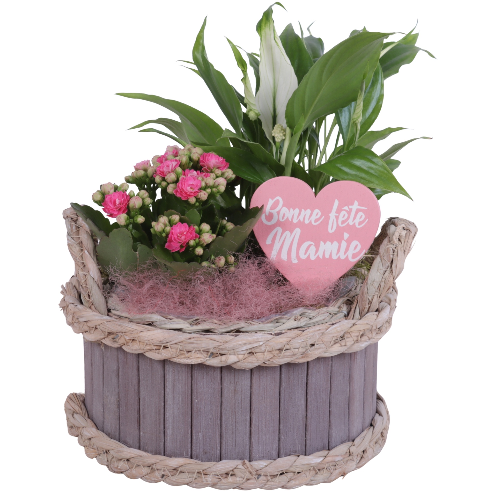Grandmothers Day Arr. Indoor Wooden Pot Waterhyacint Rim Ø19cm, D 19