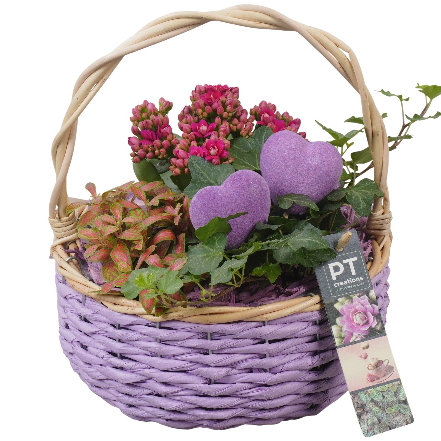 PTVMB2321 Arrangement Valentines-Mothersday in riet mand, D 19