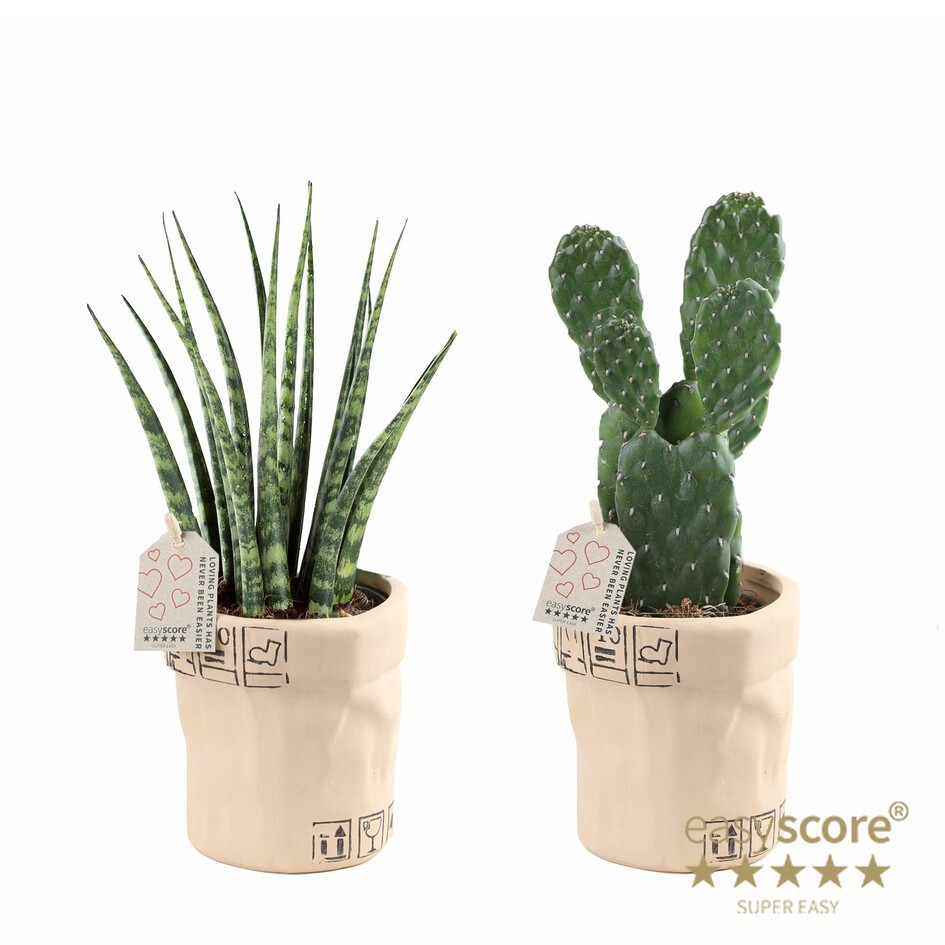 GREEN MIX 30903400 Ceramic bag, D 9