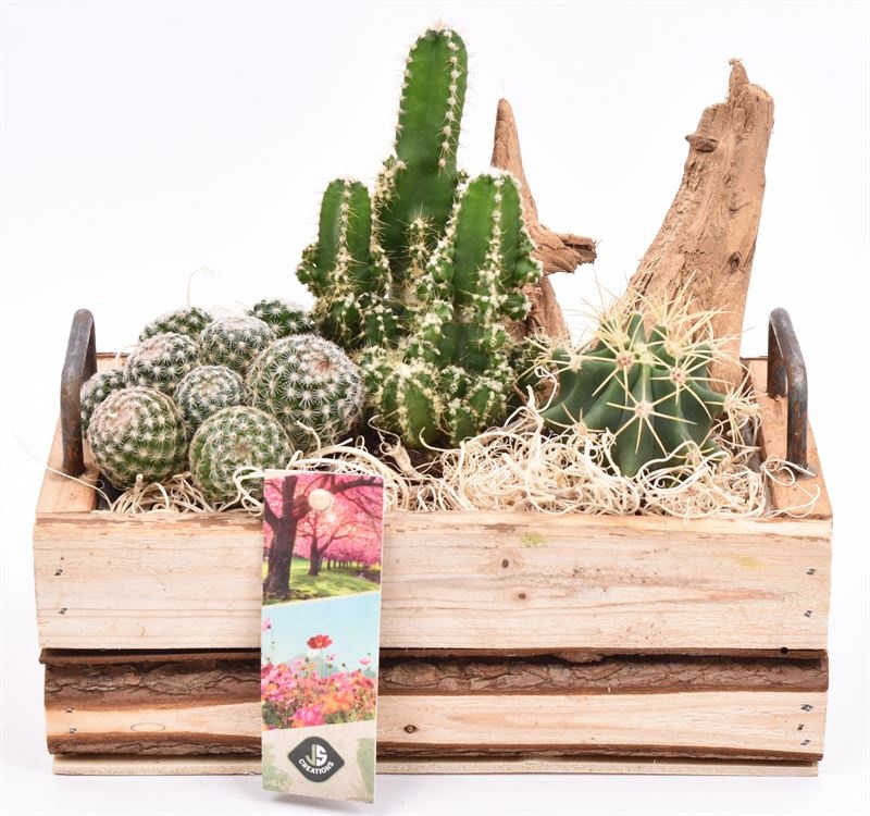 Hout rechth. met handvat 20x11cm, D 20