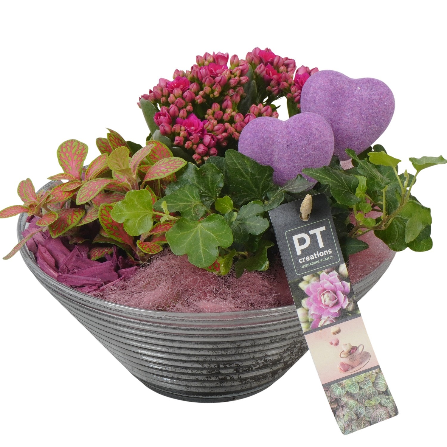 PTVMG4966 Arrangement Valentines-Mothersday in glas schaal, D 19