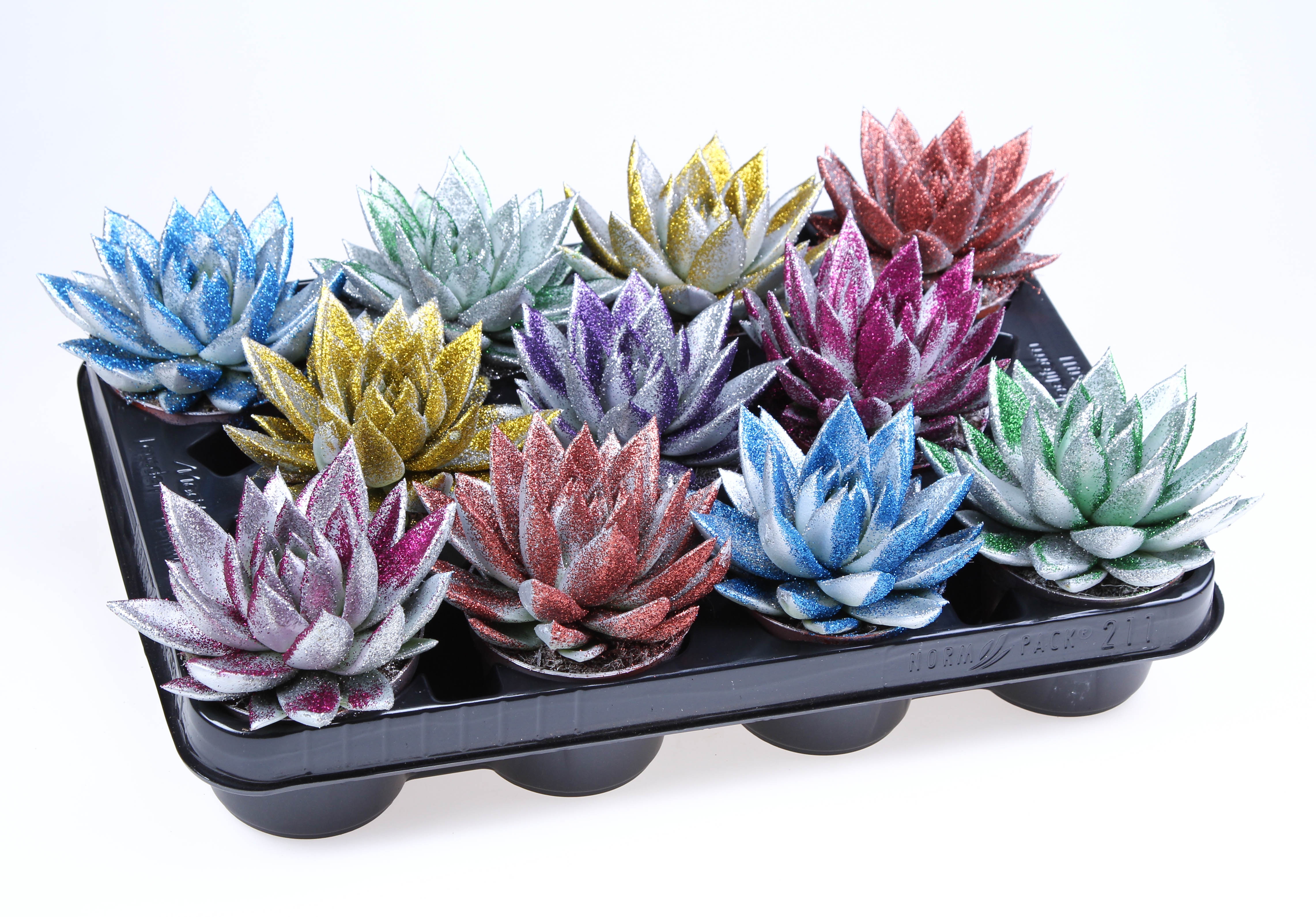 Miranda zilver + MIX bioglitter, D 8,5