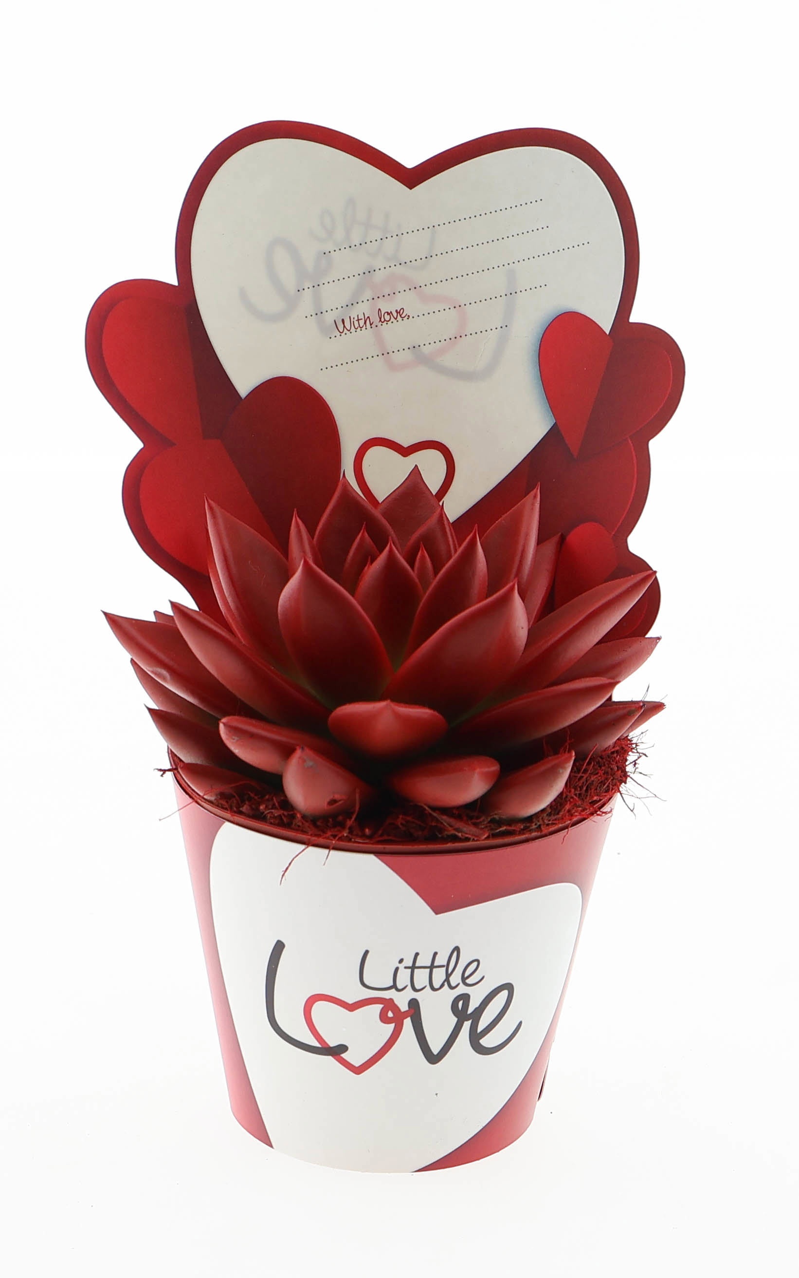 Potcover little love miranda red, D 8,5