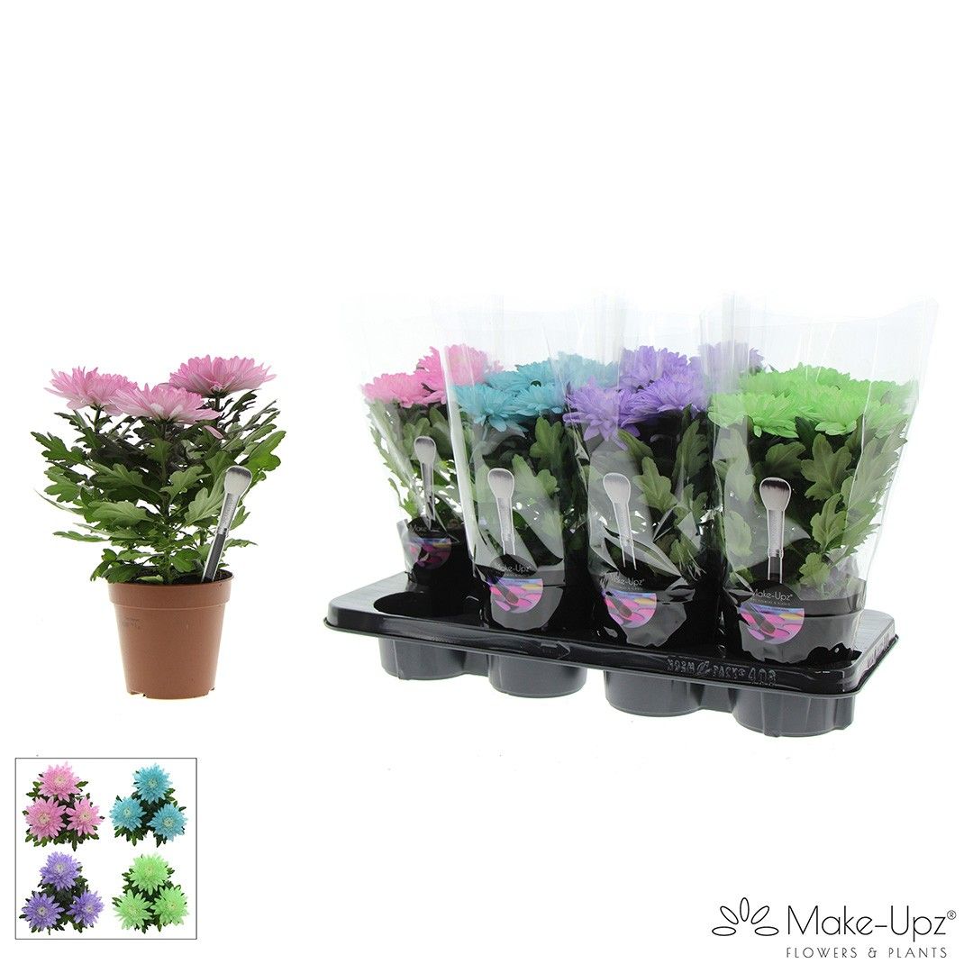 M-Upz Chrysanne® Zembla Next White Make-Upz® Uno Mix 1, D 13 cm