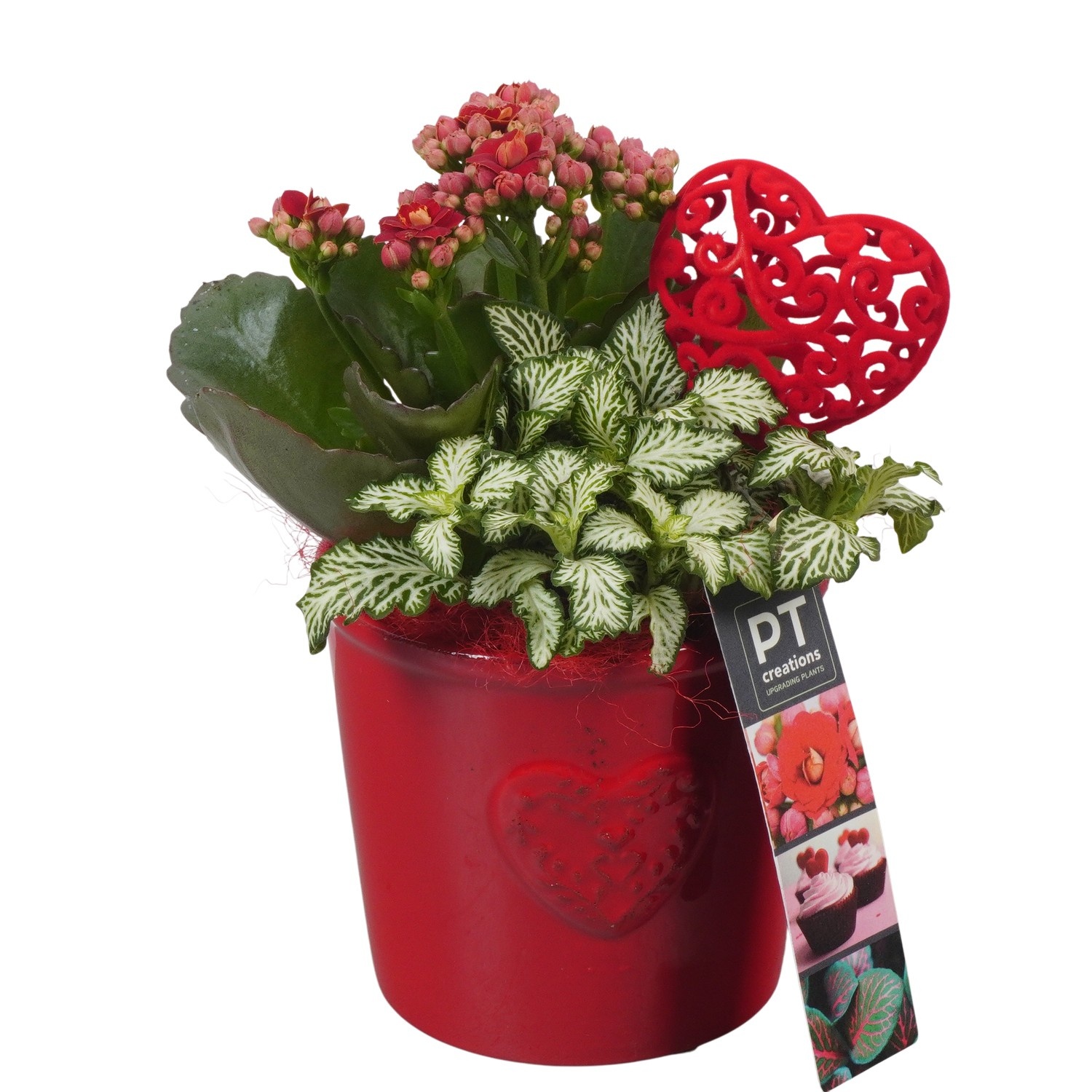 PTVMB2246 Arrangement Valentines-Mothersday in keramiek sierpot, D 10