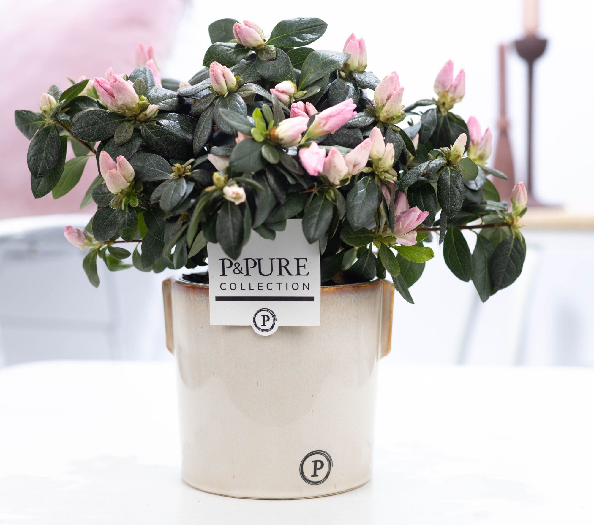 Azalea P&PURE Collection Lauren keramiek roze, D 12