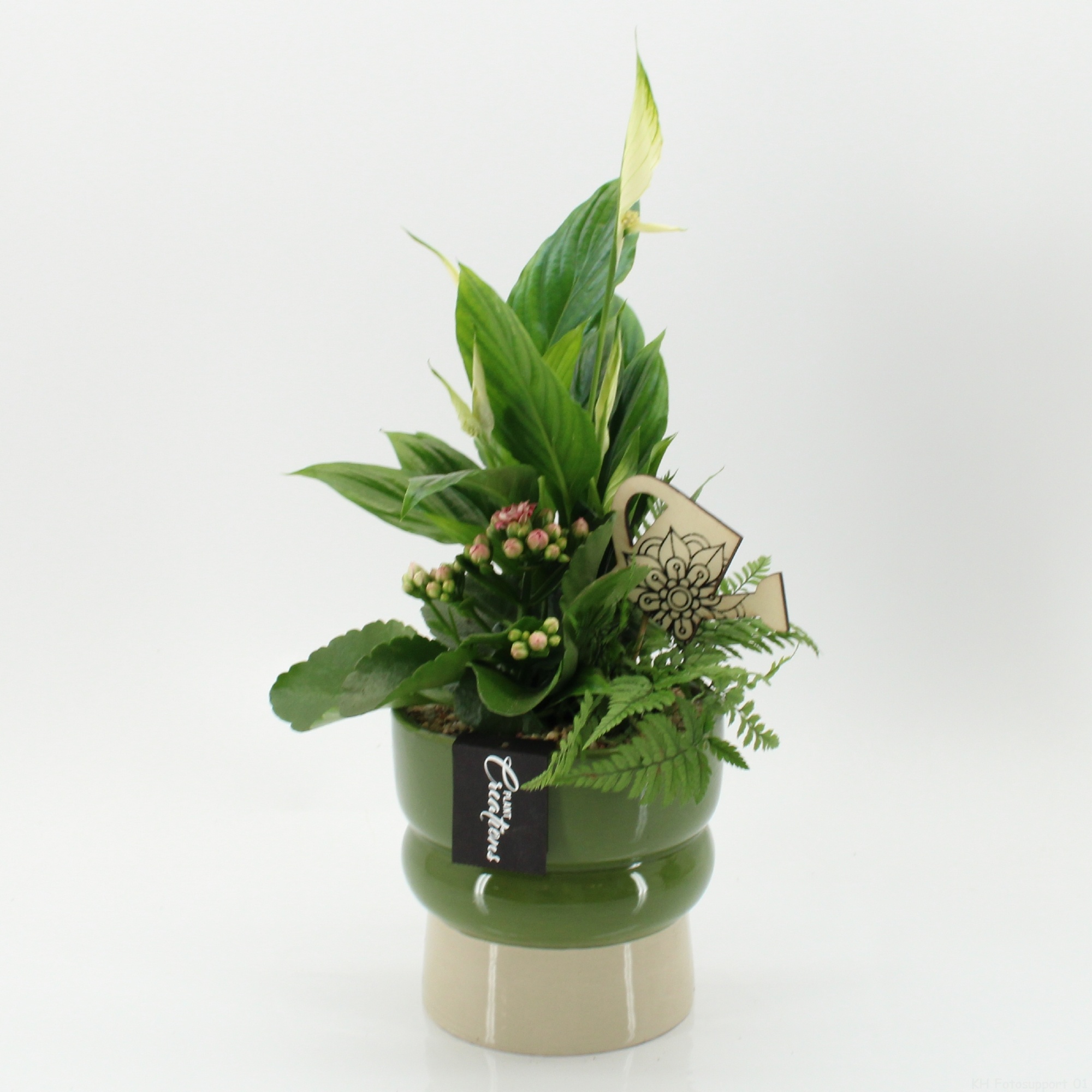 ESCR-2619RZ Essentials, D 14