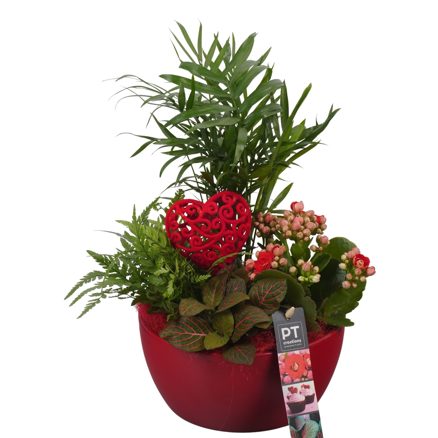 PTVMB2205 Arrangement Valentines-Mothersday in keramiek schaal, D 18