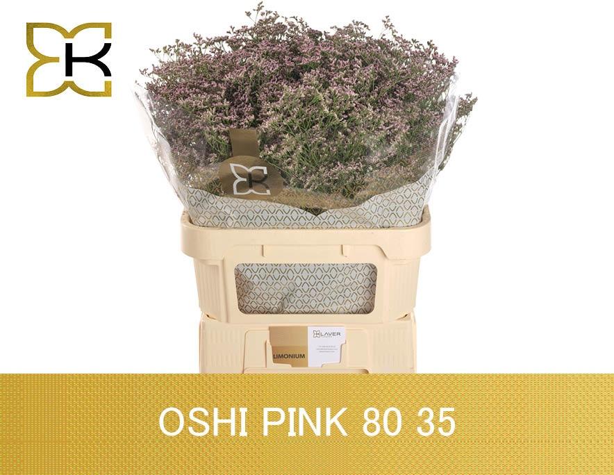 Лимониум Сафора Оши Пинк 80, шт.