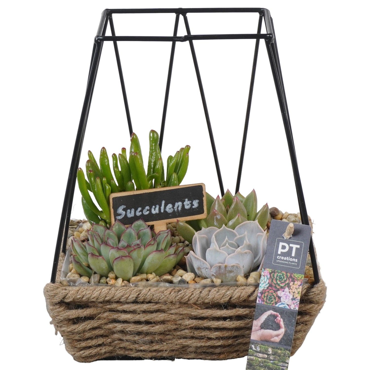 PTSU8500 Arrangement Succulenten in rechthoekige touwmand met metaal, D 19