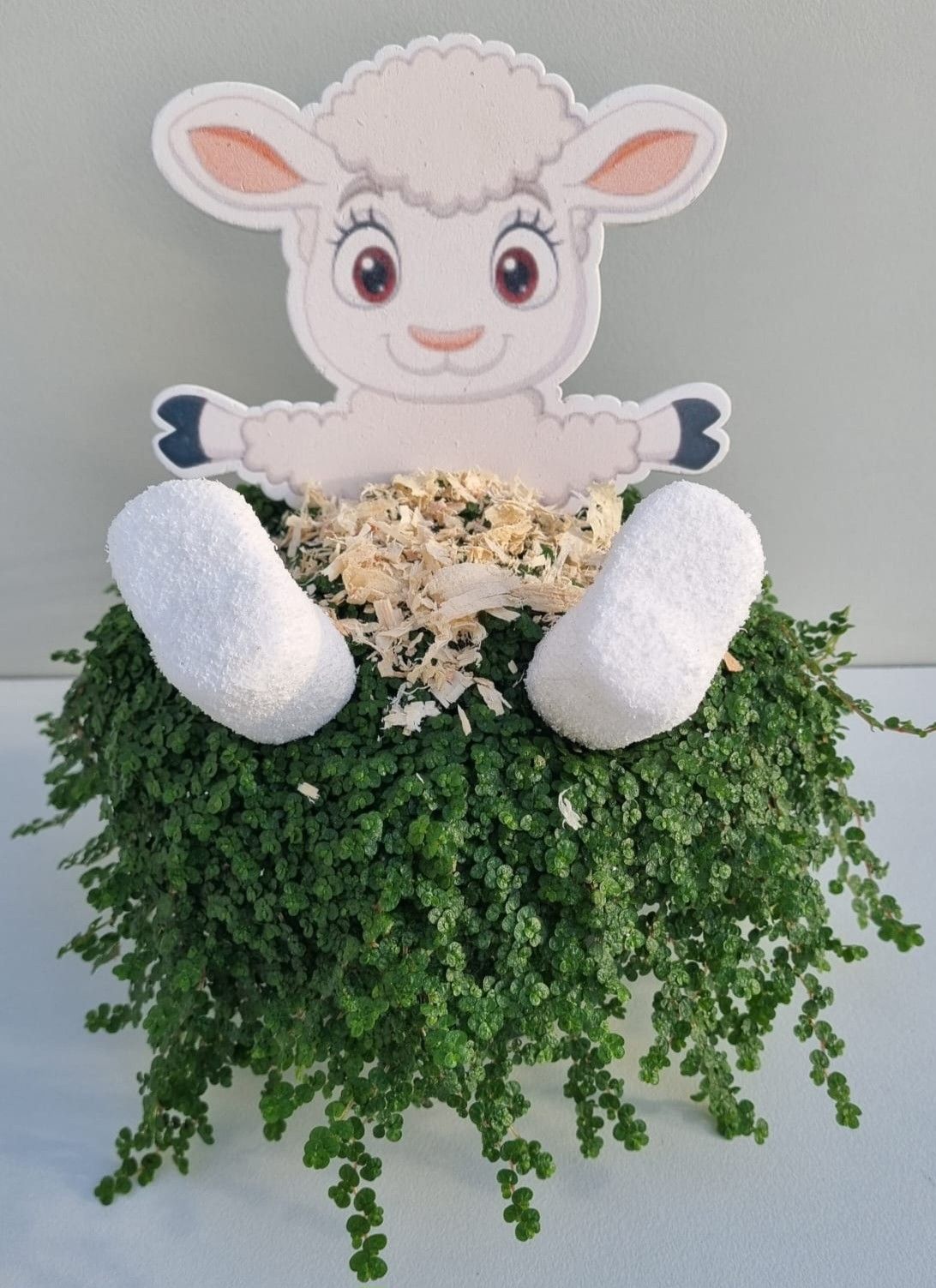 P71 Lammertje met snippers, D 13