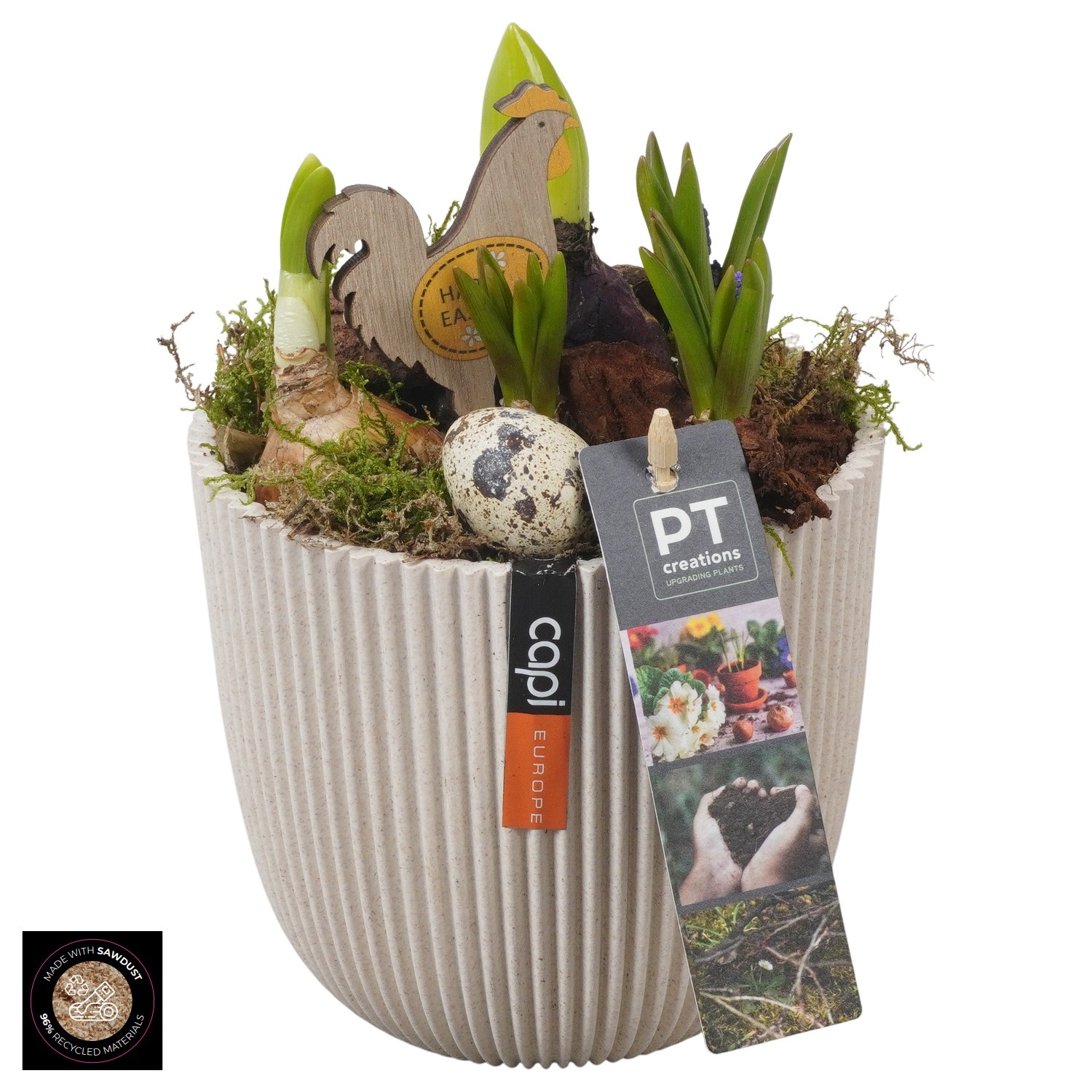 PTBMP5735 Arrangement Easter Bulbs Mix in capi pot, D 13