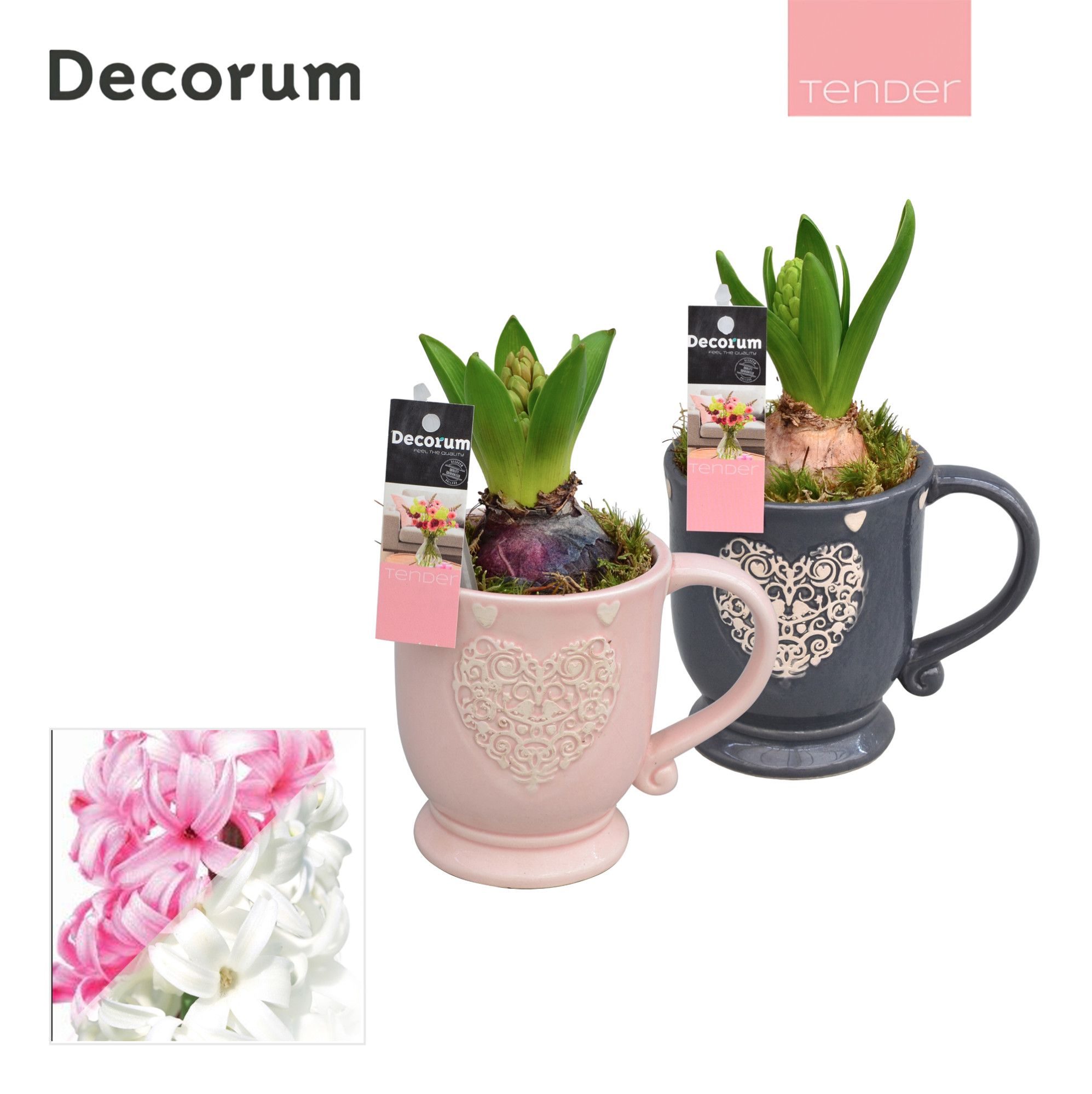 Hyacint Loving Mug HL10934 [TENDER], D 9