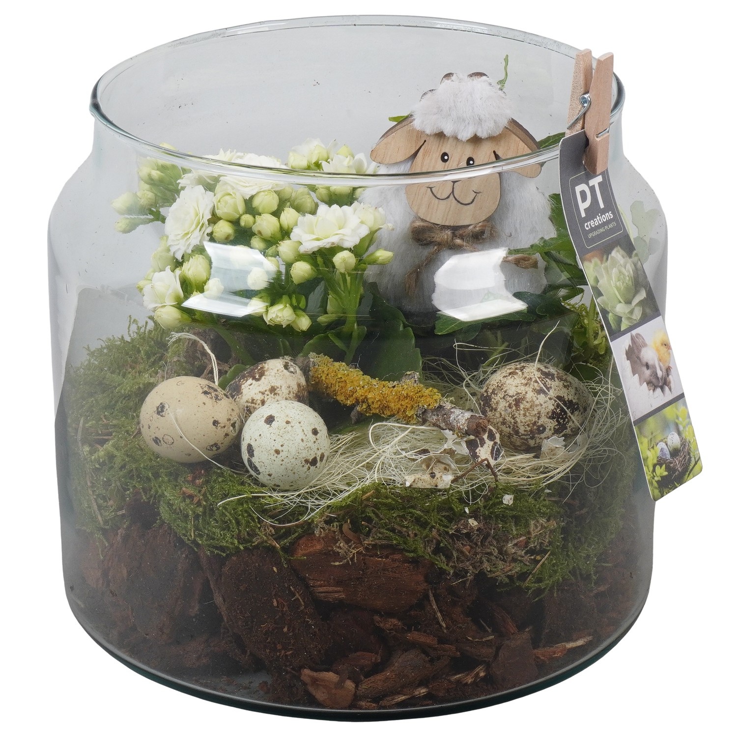 PTPG9342 Arrangement Easter in glas vaas, D 19