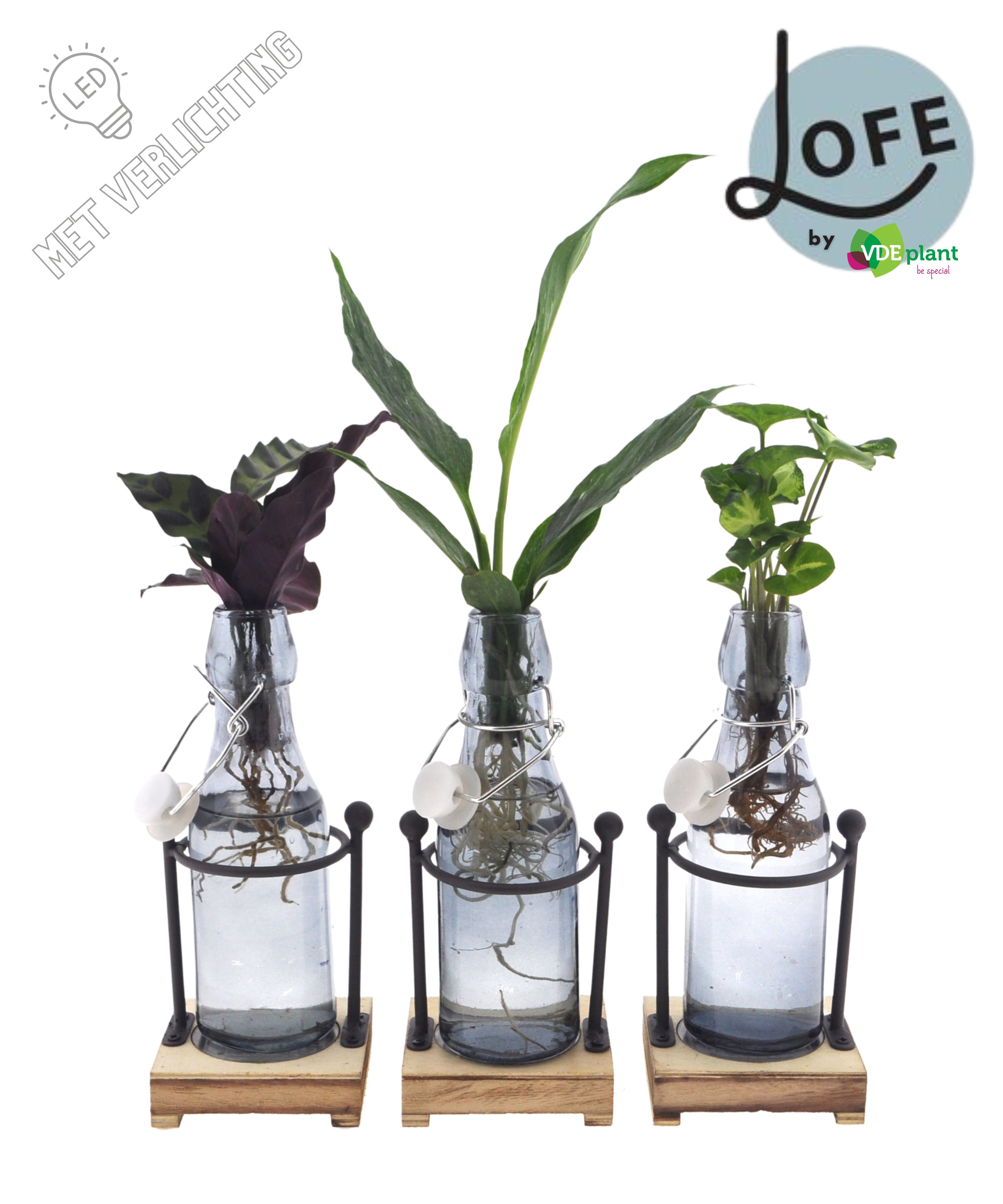 LOFE | Intenz mix in Ann getint glas + metalen houder + LED, D 7