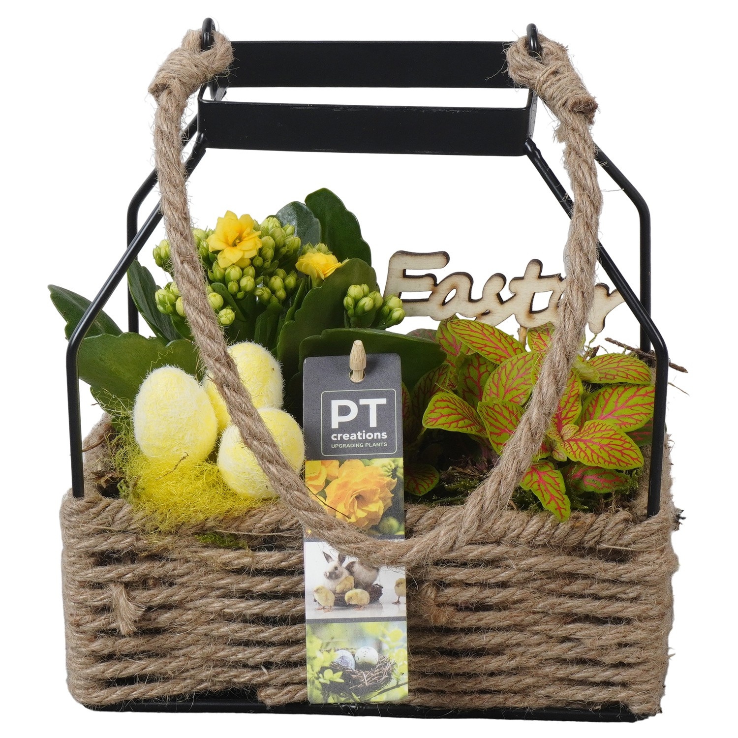 PTPB6572 Arrangement Easter in touw mand met metaal, D 18