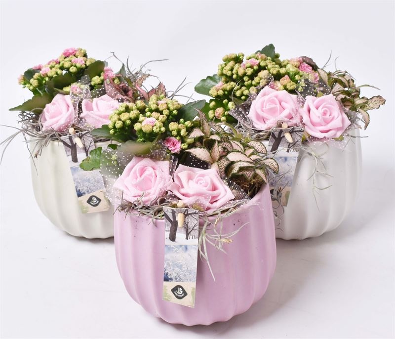 Keramiek pot kleur mix 14cm, D 14