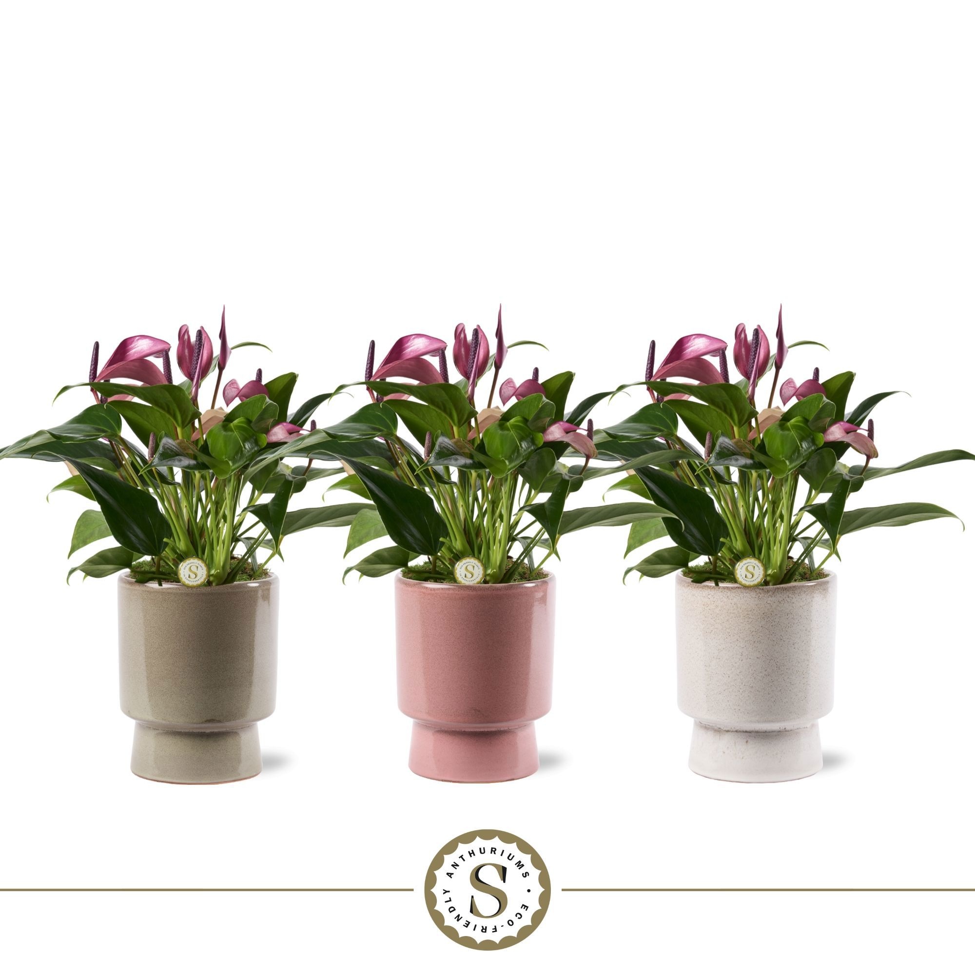 Toulouse Keramiek Zizou, D 12