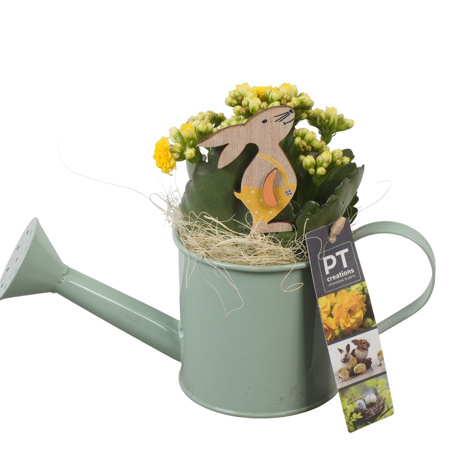 PTPB6430 Arrangement Easter in zink gieter, D 9