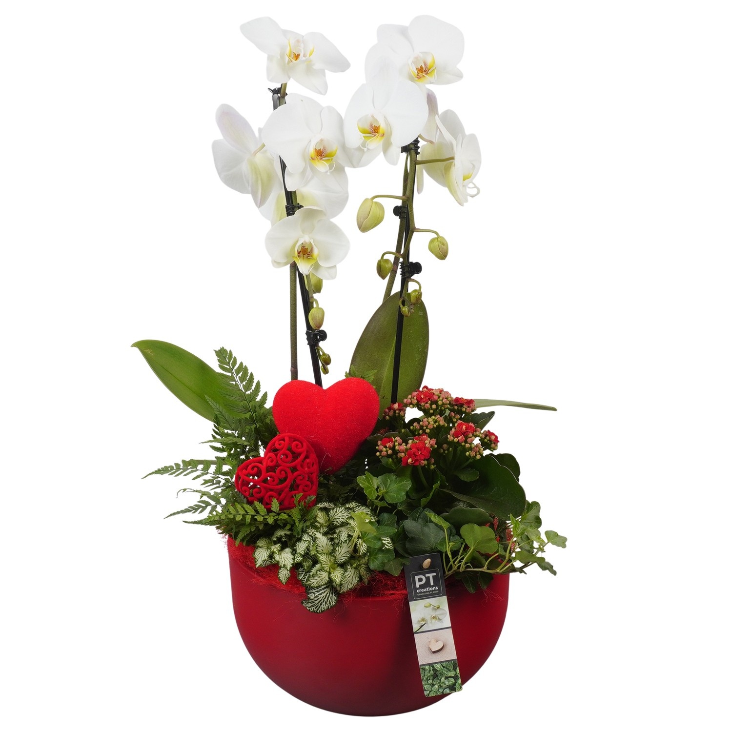 PTVMB2209 Arrangement Valentines-Mothersday in keramiek schaal, D 26