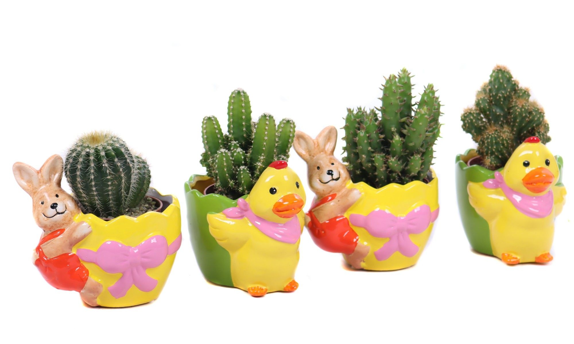 Cactus in planter "Duck and bunny are really funny", D 10