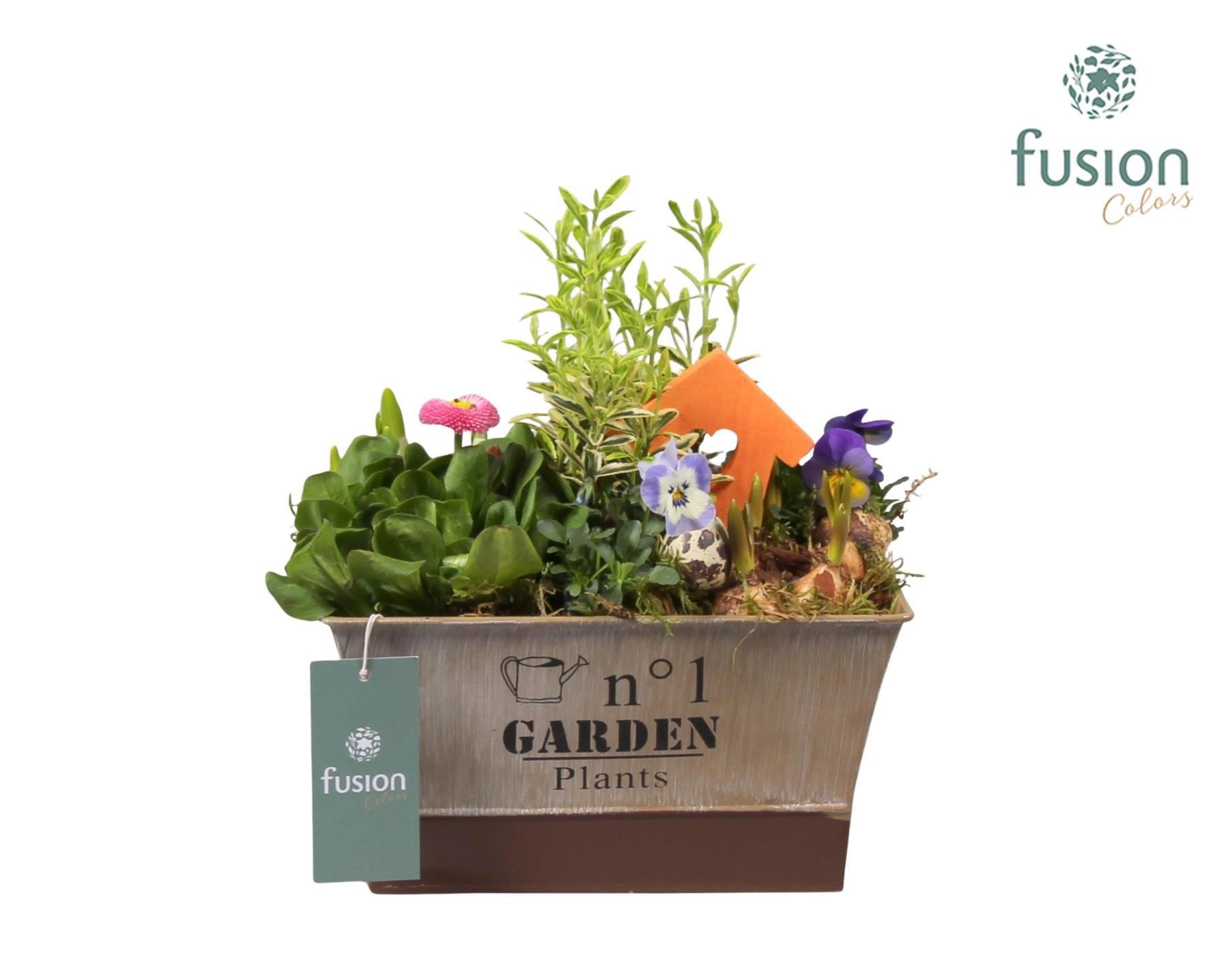 Pasen zinken pot vierkant met Tuinplanten Arrangem, D 22