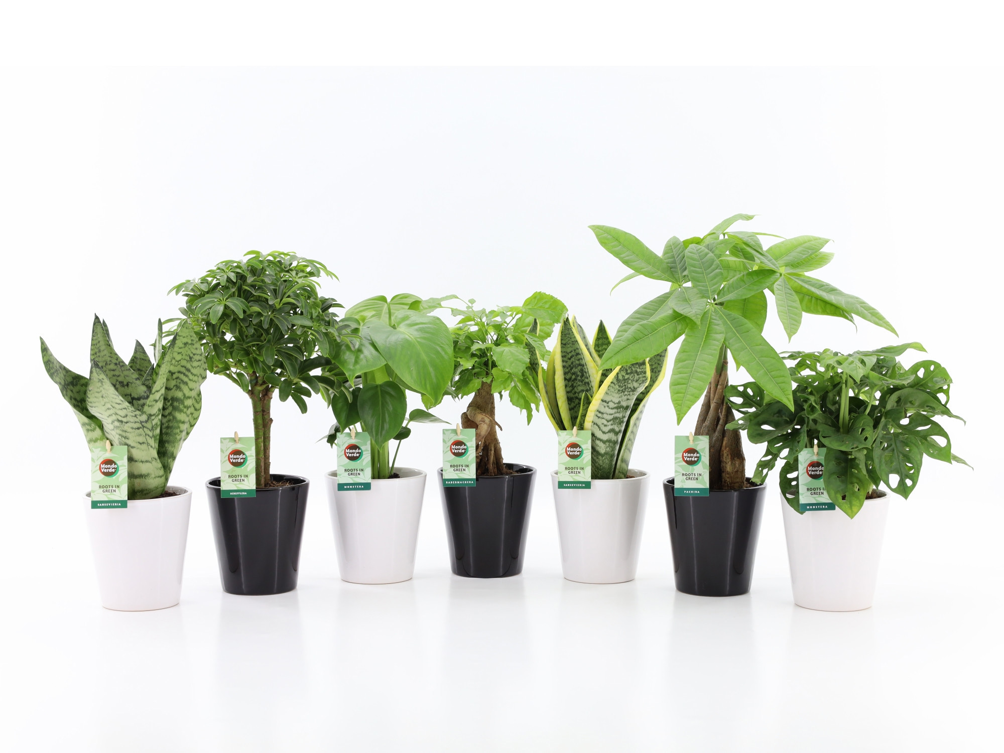 Easy to Care Mix in Zwart & Wit Keramiek, D 13