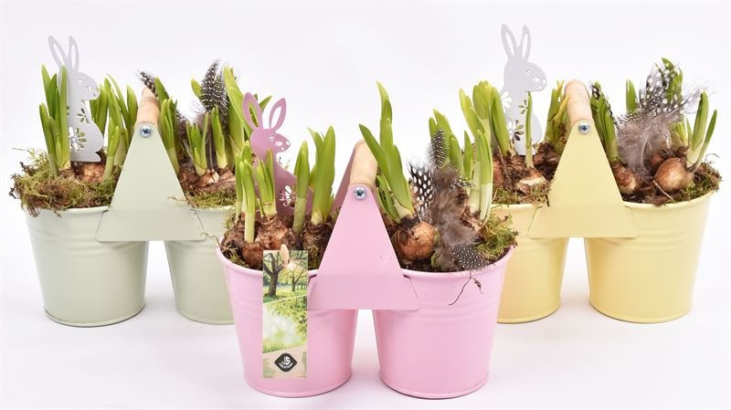 Zink duopot kl. mix 21x10cm, D 21