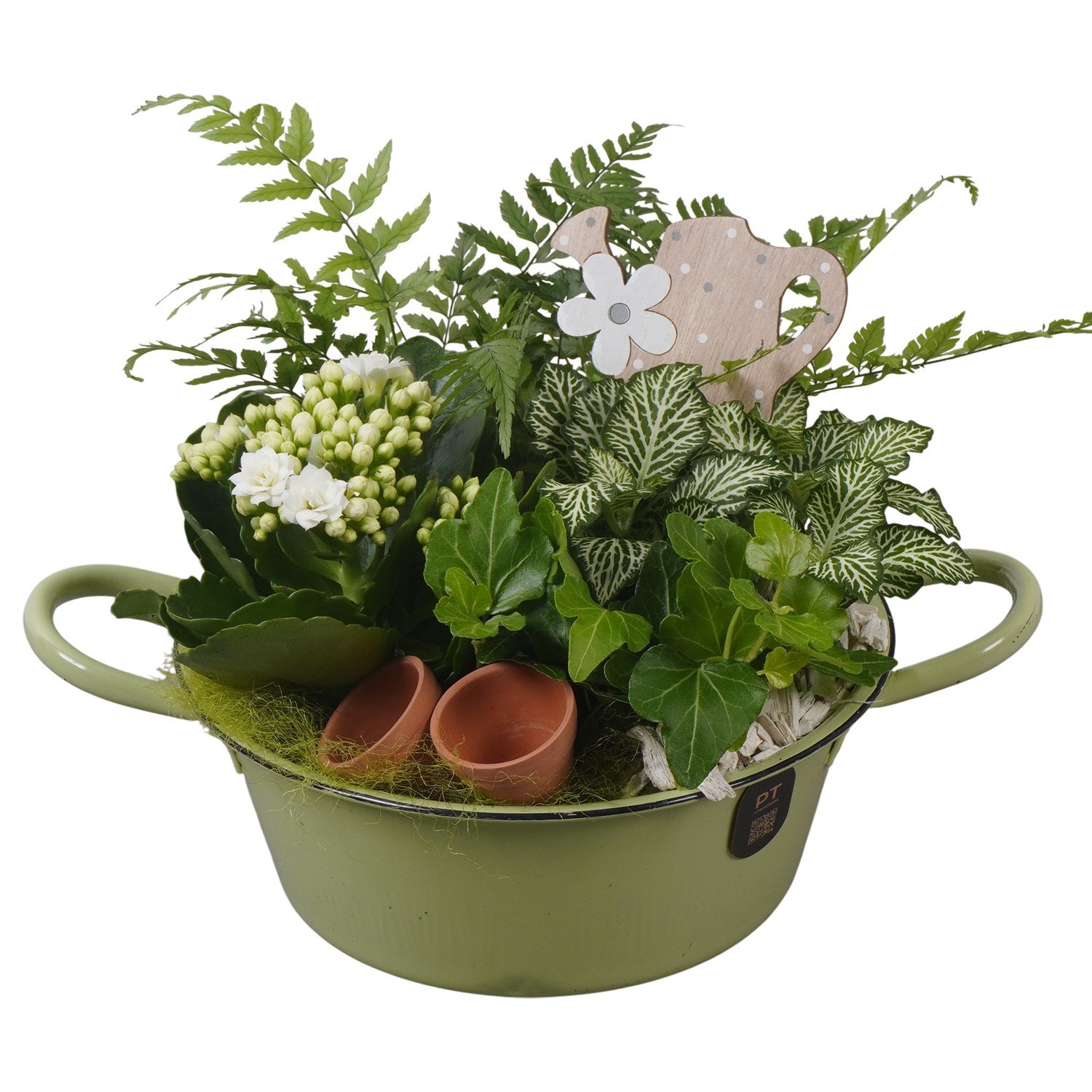 PTIB5313 Arrangement Indoor in metalen schaal, D 19