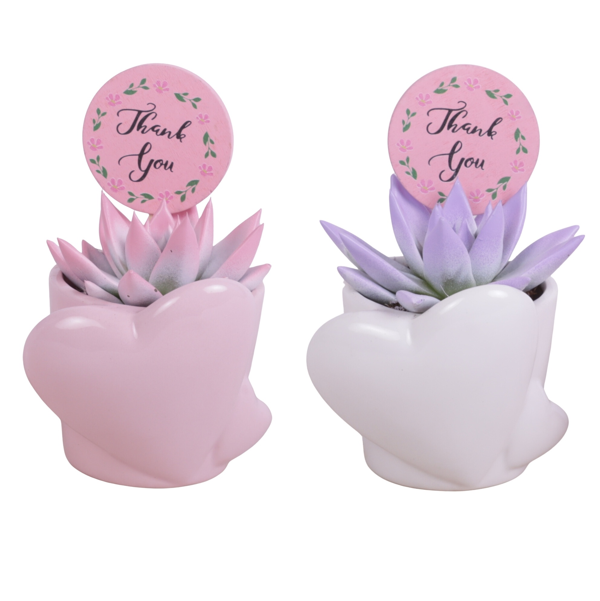 Mothersday Arr. Succulent Ceramic Heart Pot Pink/White Ø10cm 1PP, D 10