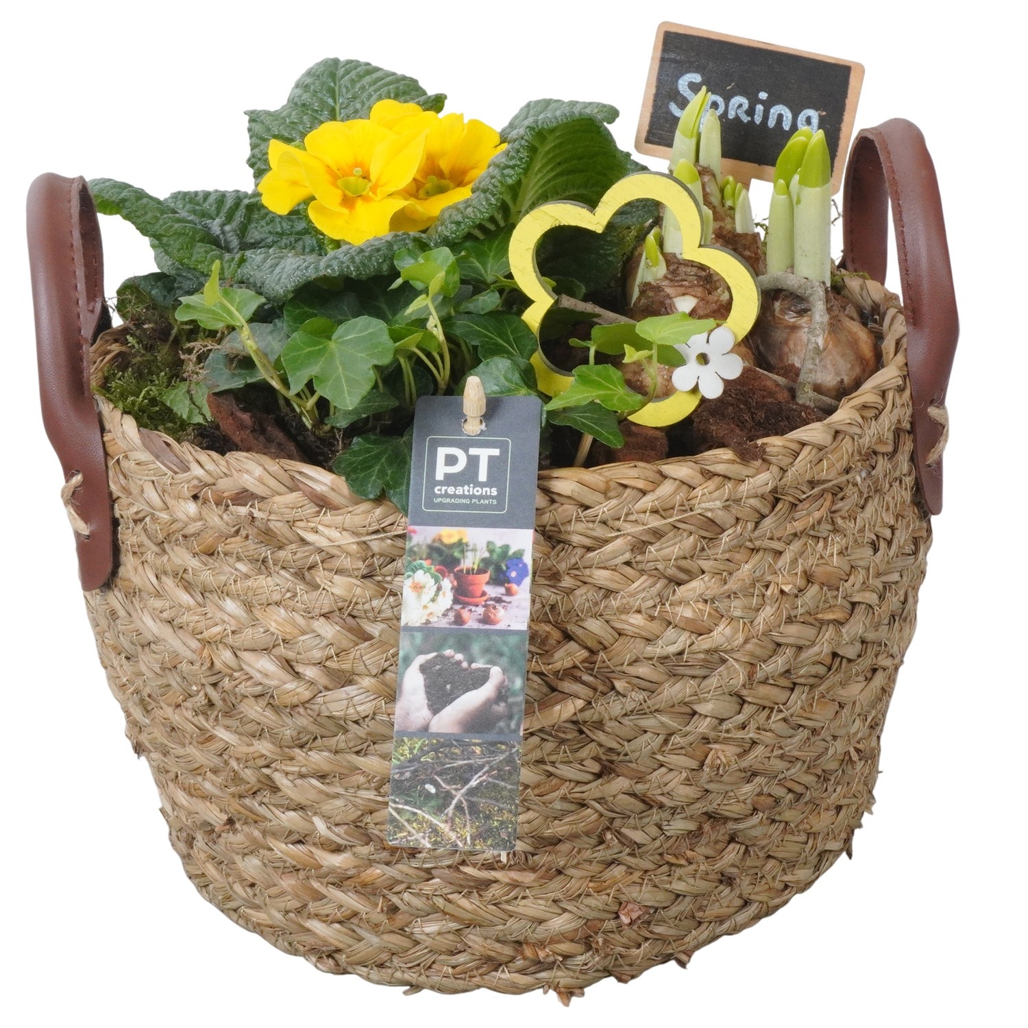 PTBM3819 Arrangement Flower Bulbs Mix in rieten mand, D 20