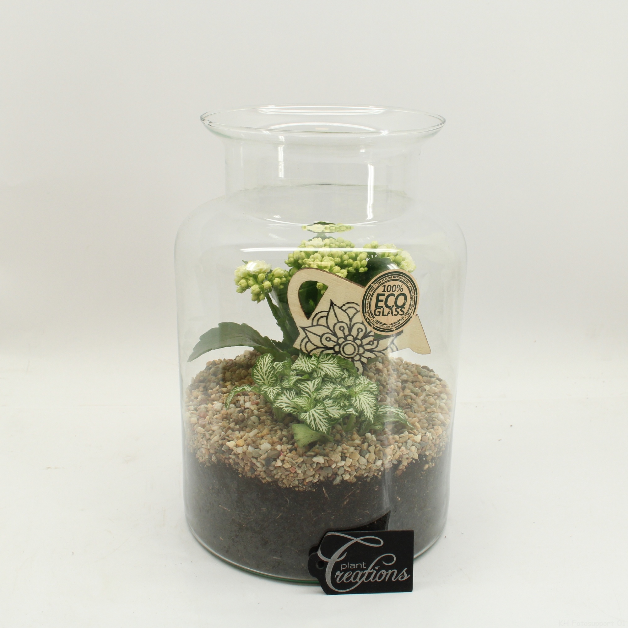 FDCR-2606W Basic Fundamentals terrarium, D 17