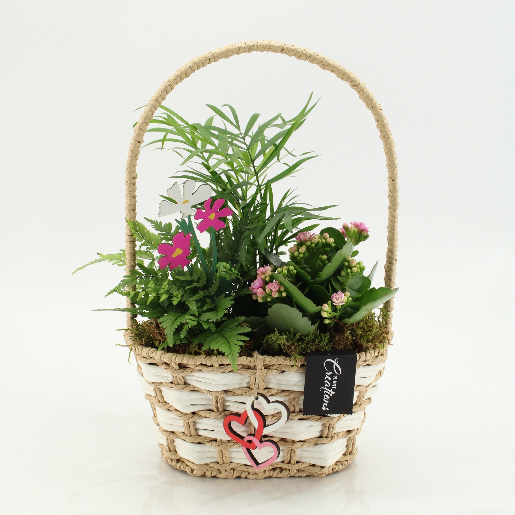 ENMD-2623 English Mother's day, D 22