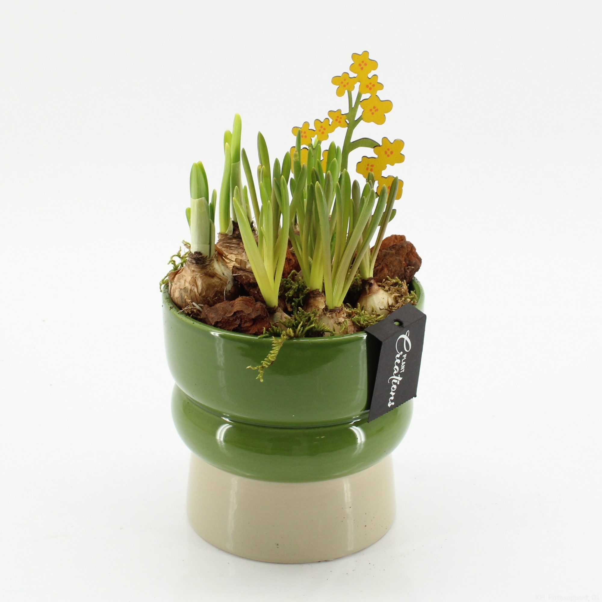 BLCR-2640 Bulbs creations, D 14