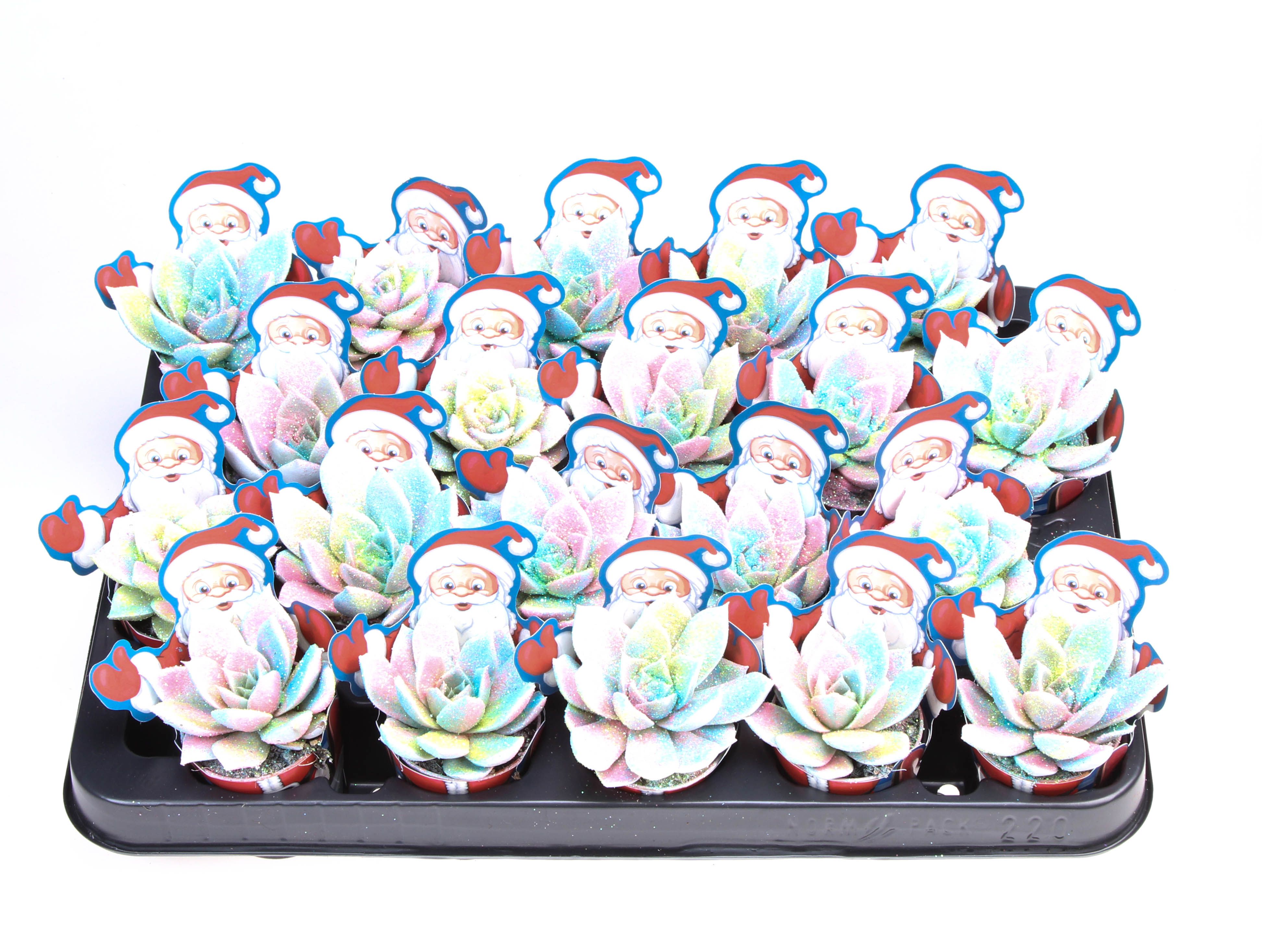 Potcover santaclaus multi glitter mix, D 5,5