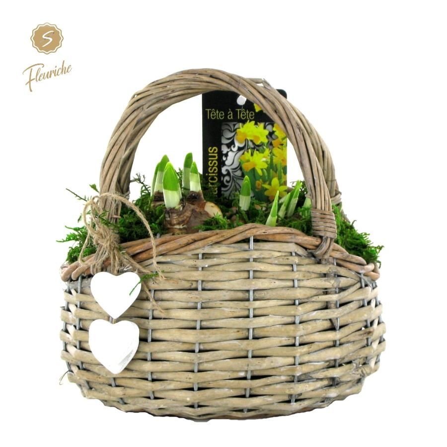 (3701) Narcissus Basket with Handle 3PP Mos, D 21