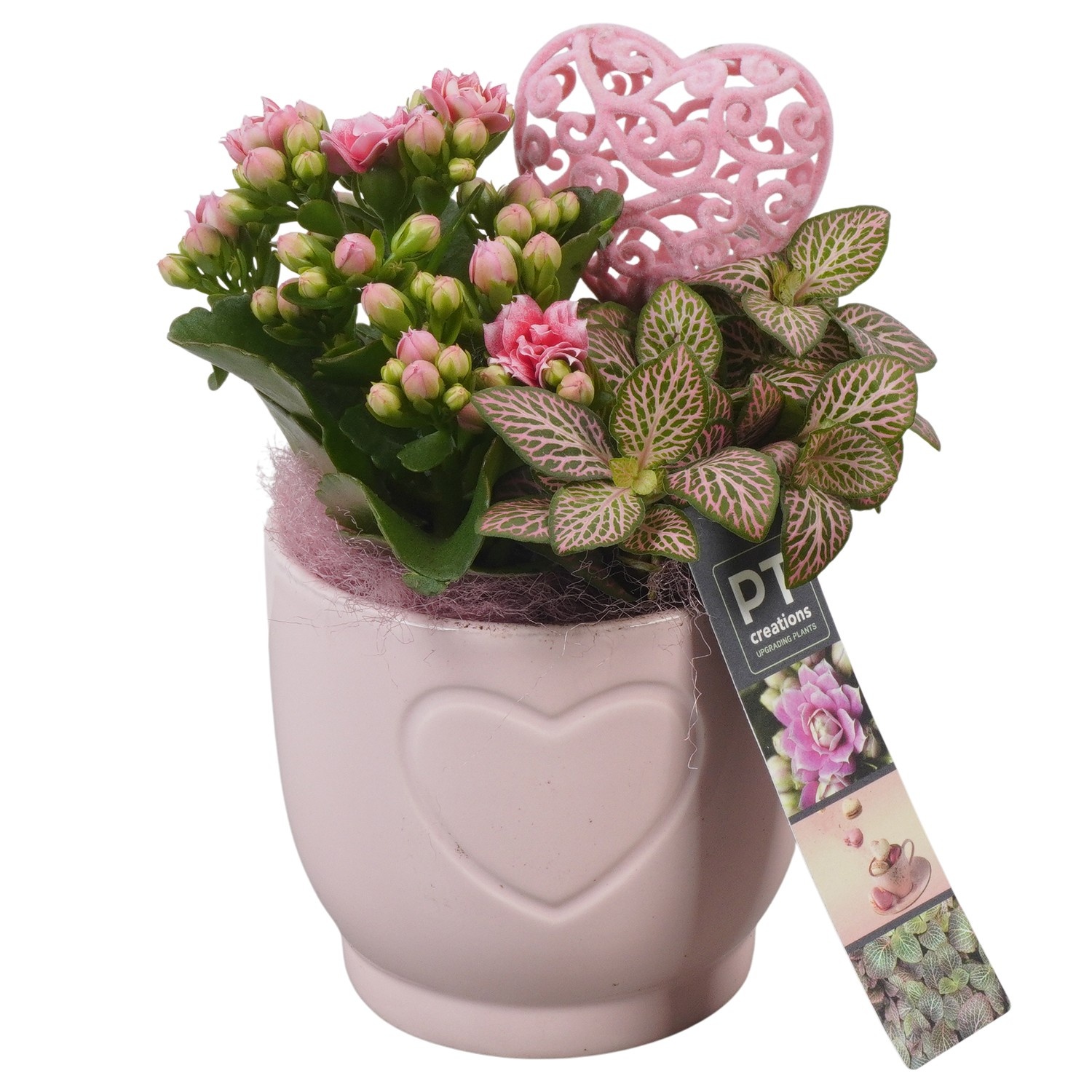 PTVMB2255 Arrangement Valentines-Mothersday in keramiek sierpot, D 11