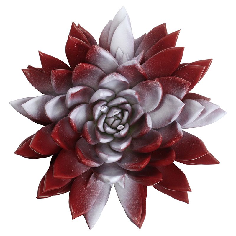 Miranda coloured flag Denmark, D 10,5