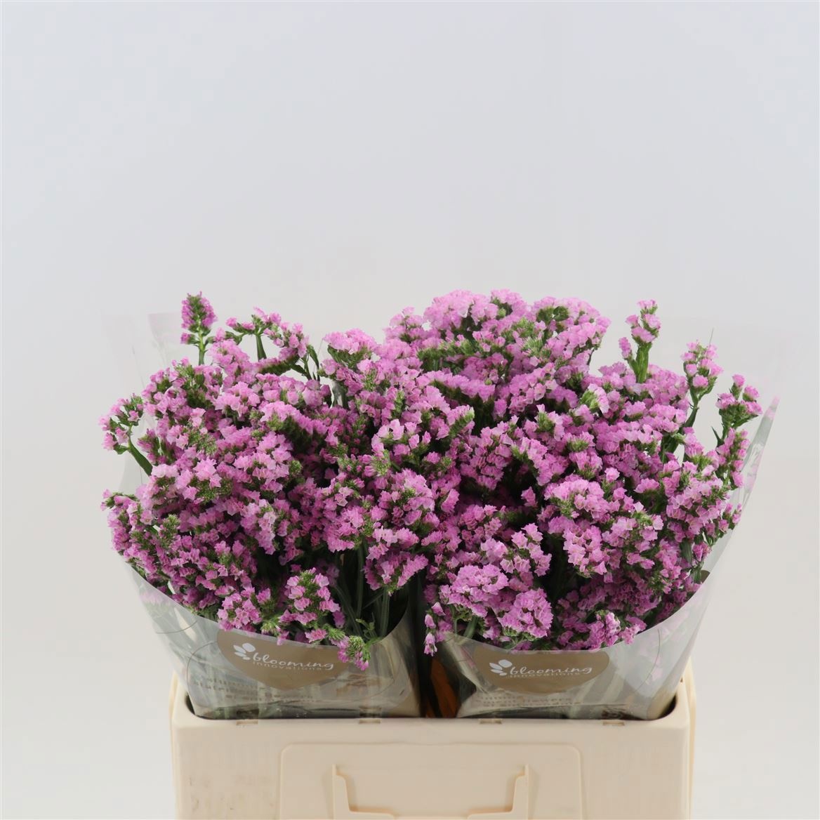 Статица Притти Вингз 60, шт.